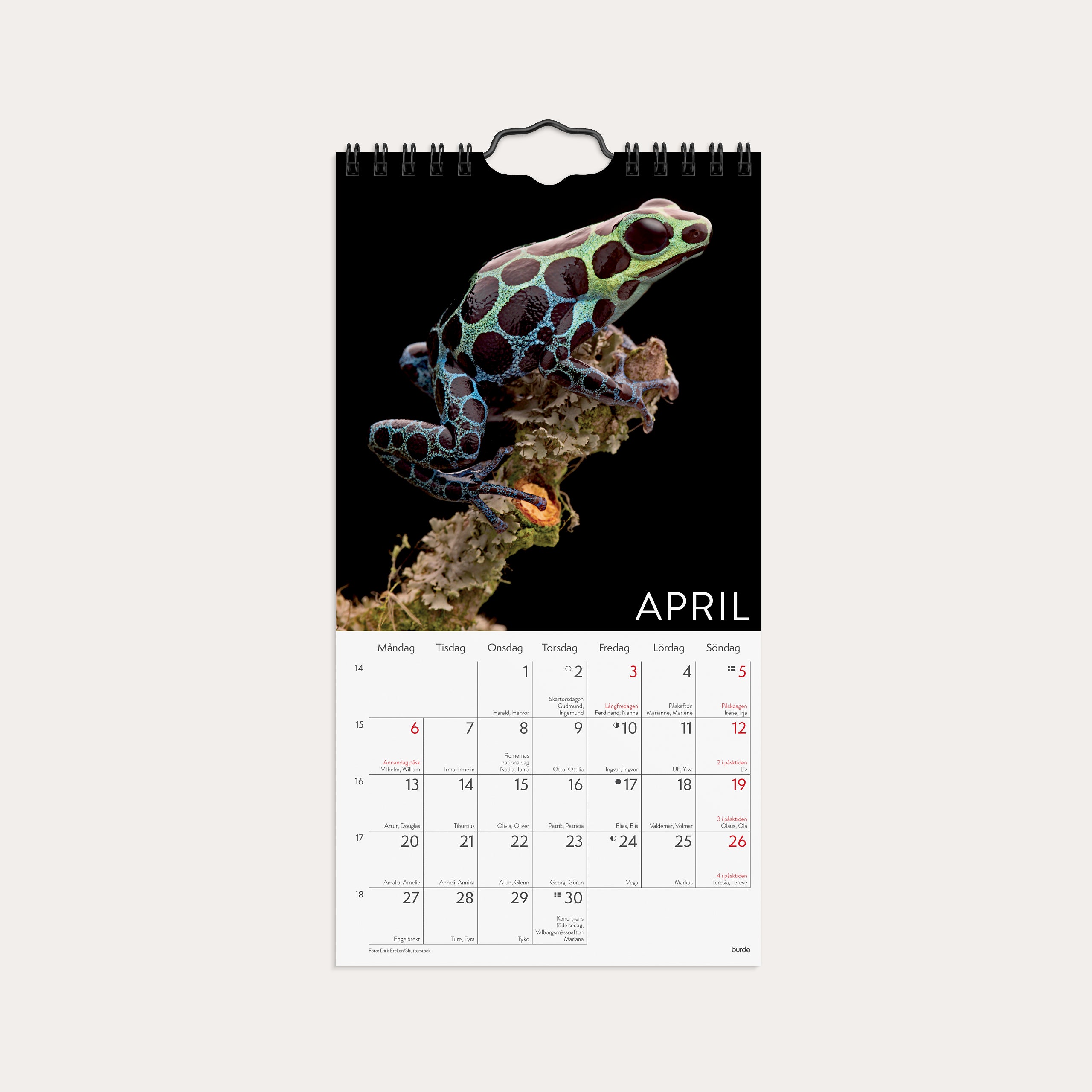 Väggkalender 2026 Wild animals