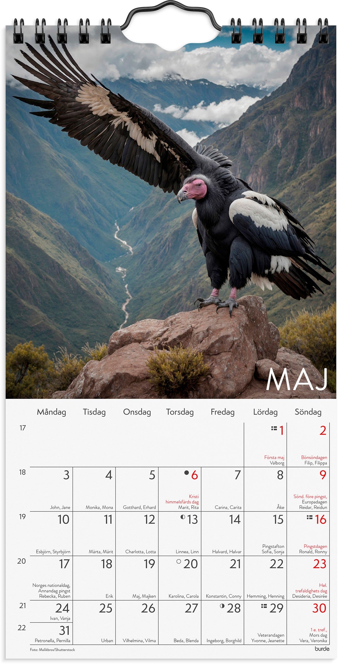 Väggkalender 2027 Wild animals