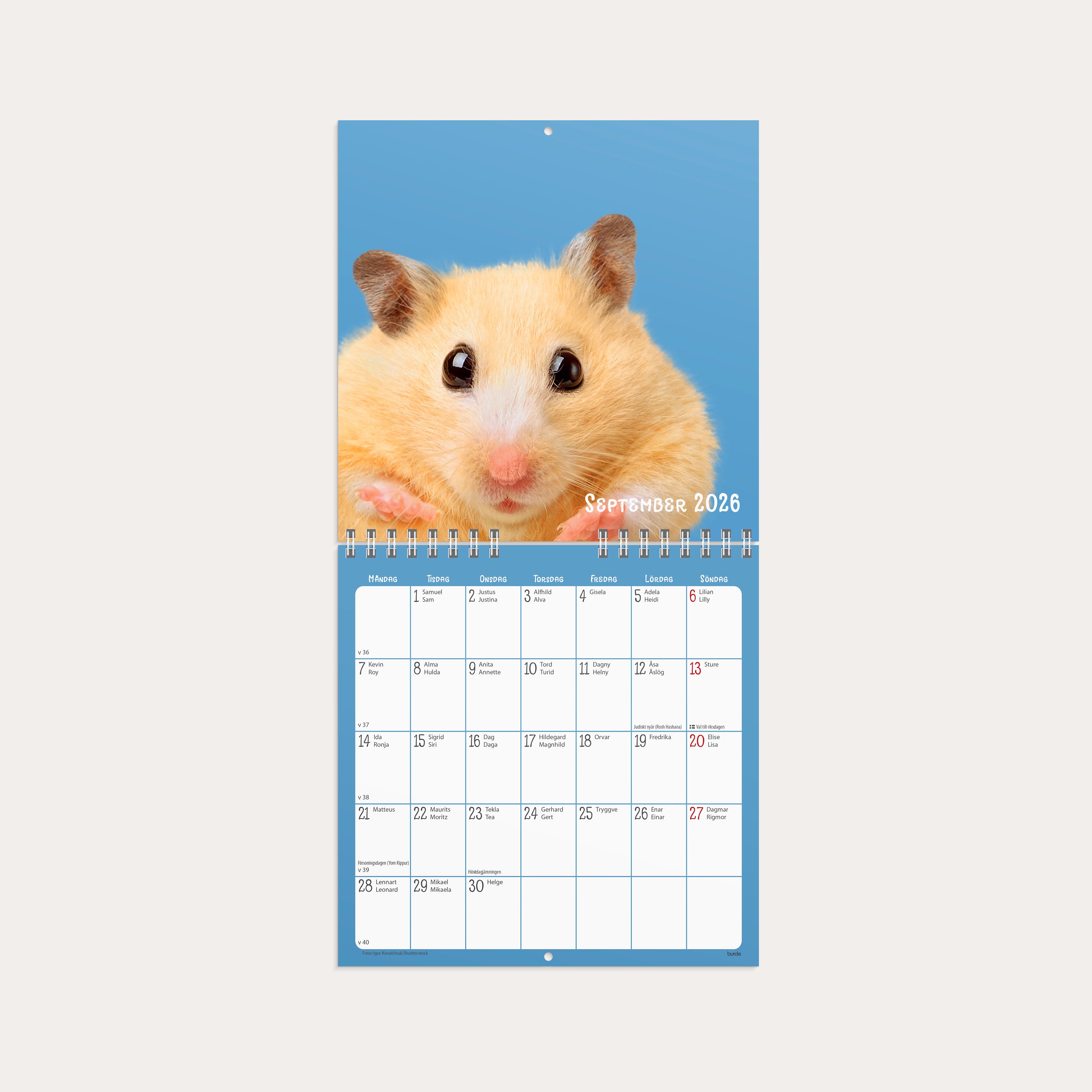 Väggkalender 2026 Sötnosar