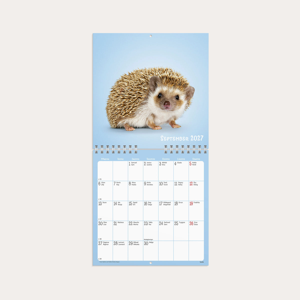 Väggkalender 2027 Sötnosar