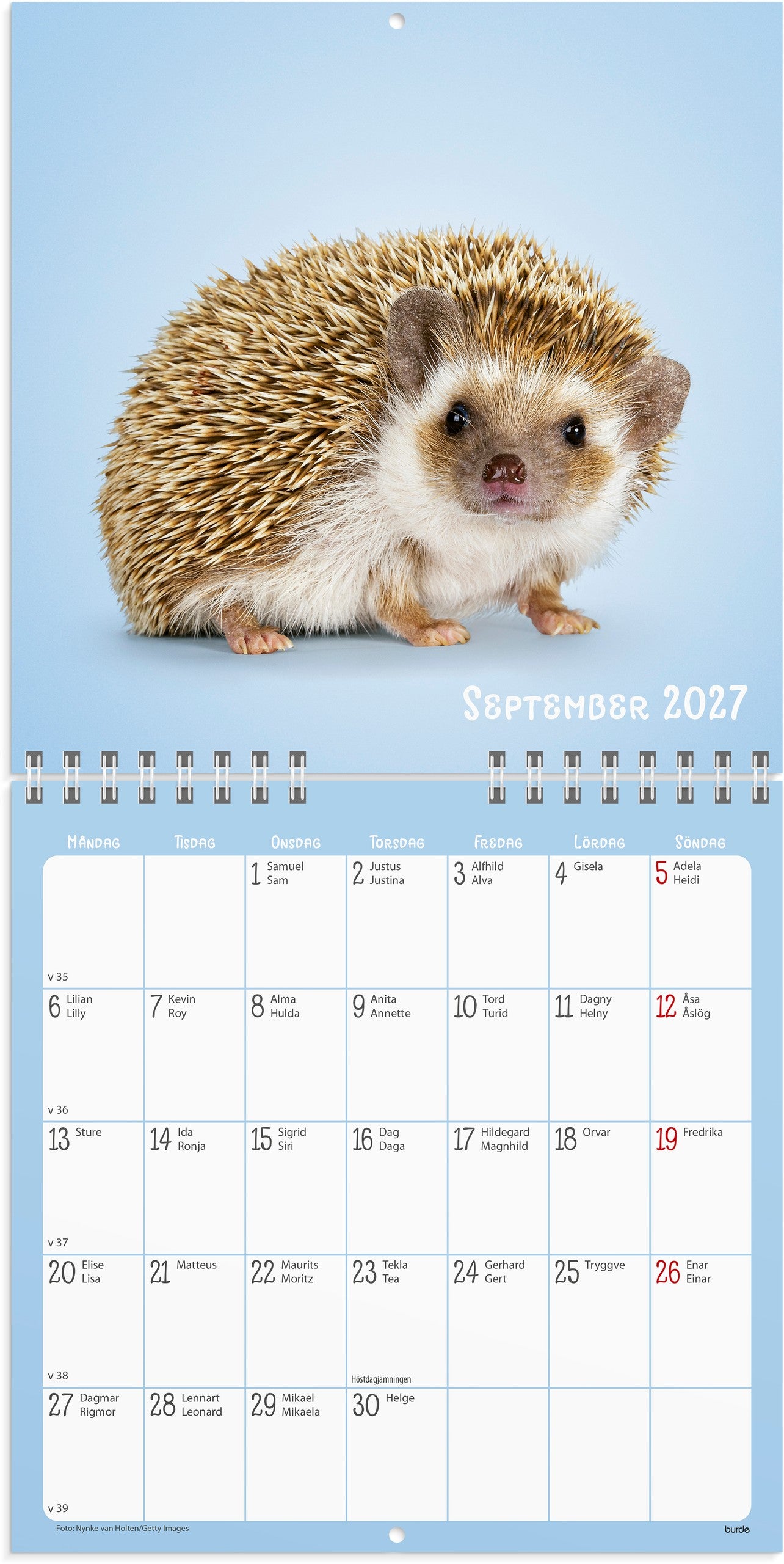 Väggkalender 2027 Sötnosar