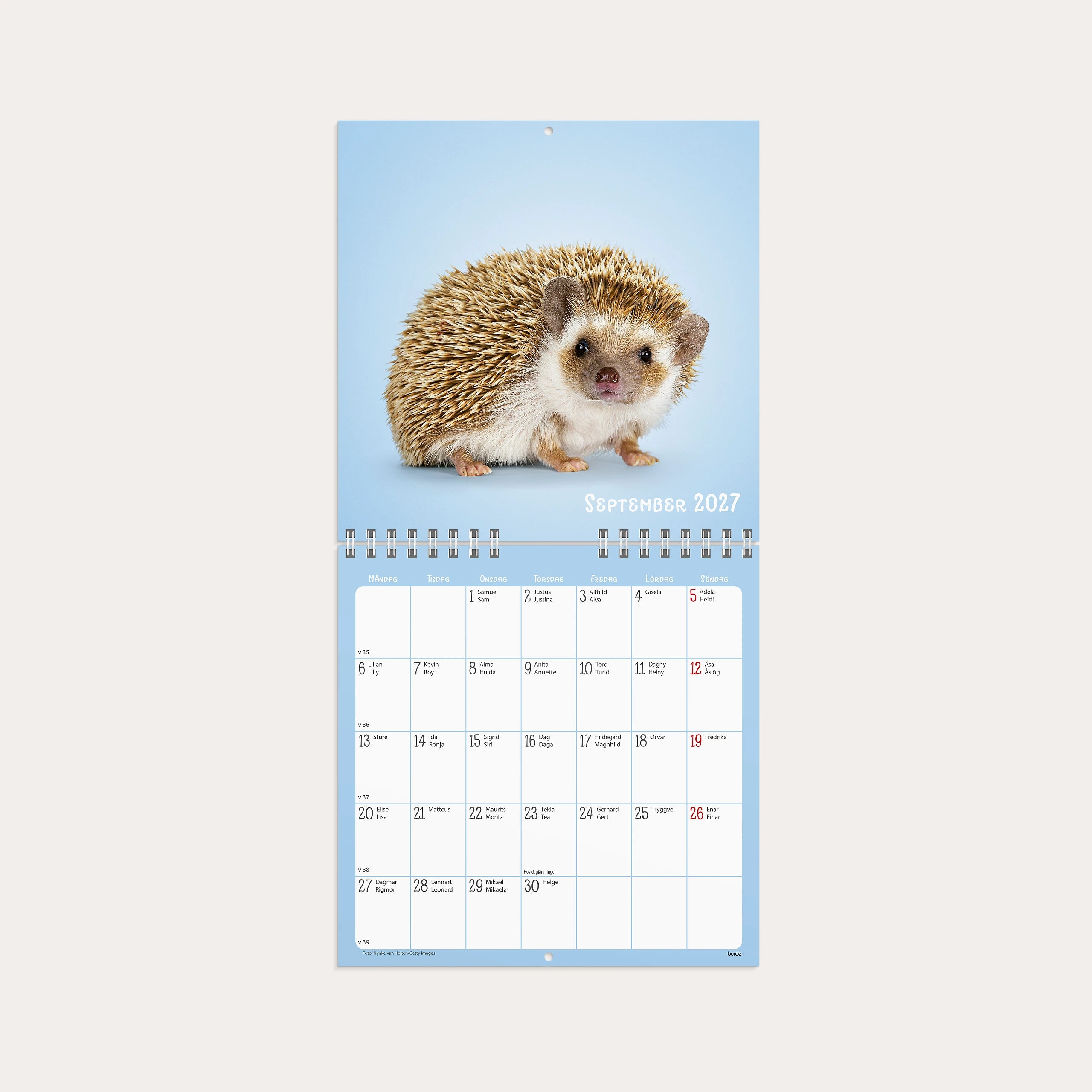 Väggkalender 2027 Sötnosar