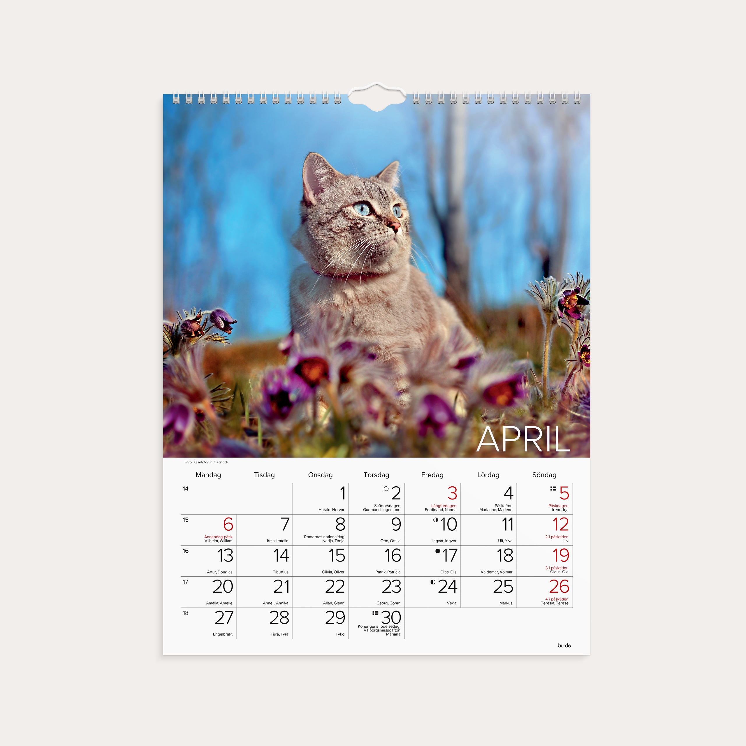 Väggkalender 2026 Stora Kattkalendern