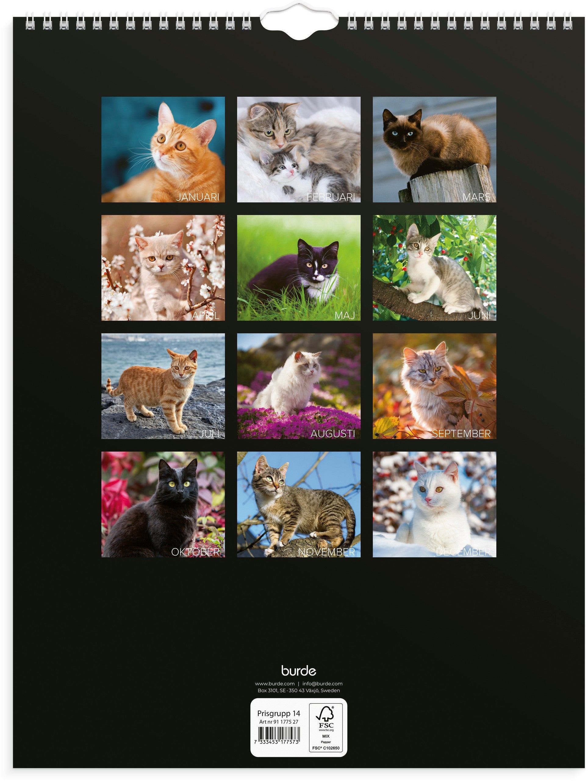 Väggkalender 2027 Stora Kattkalendern