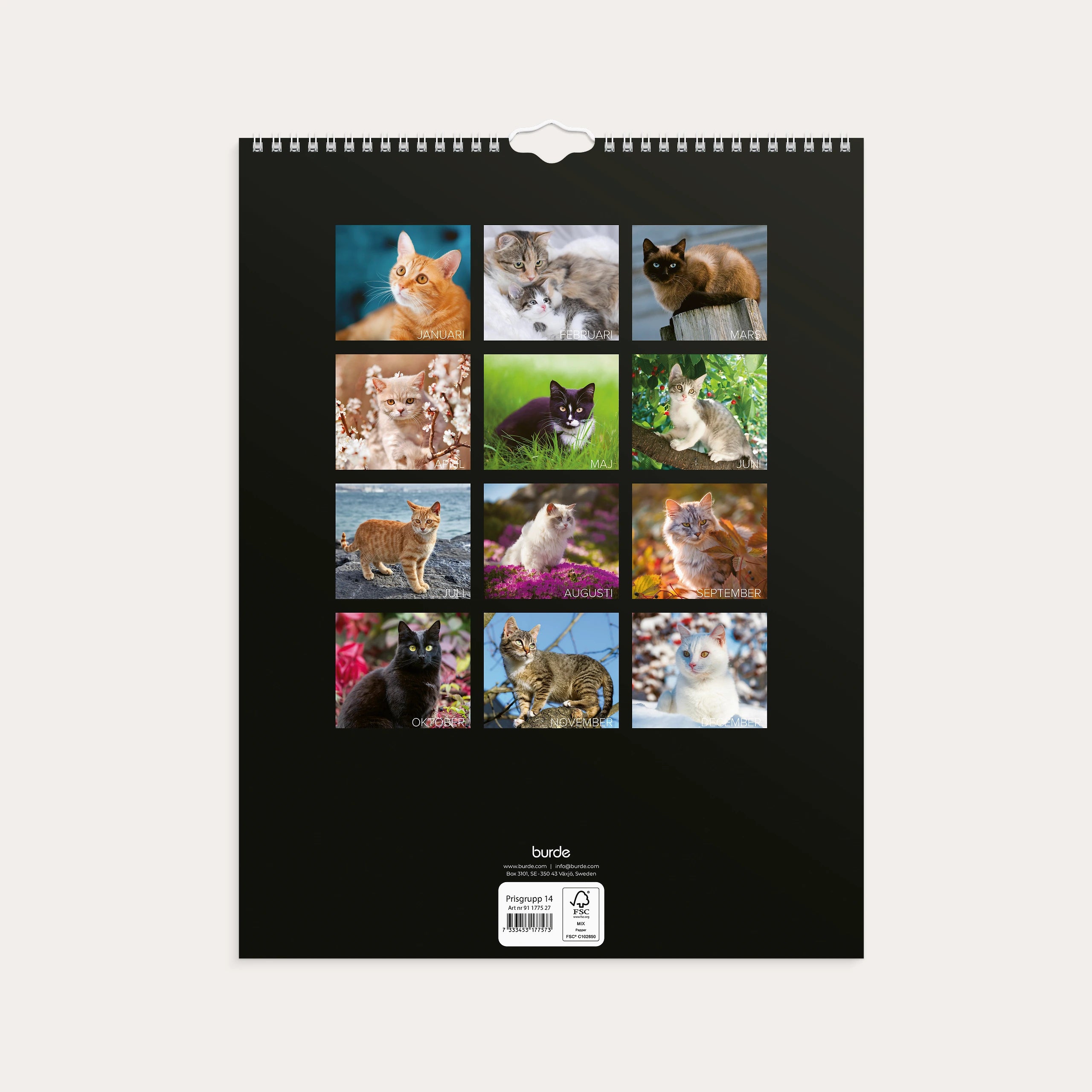 Väggkalender 2027 Stora Kattkalendern