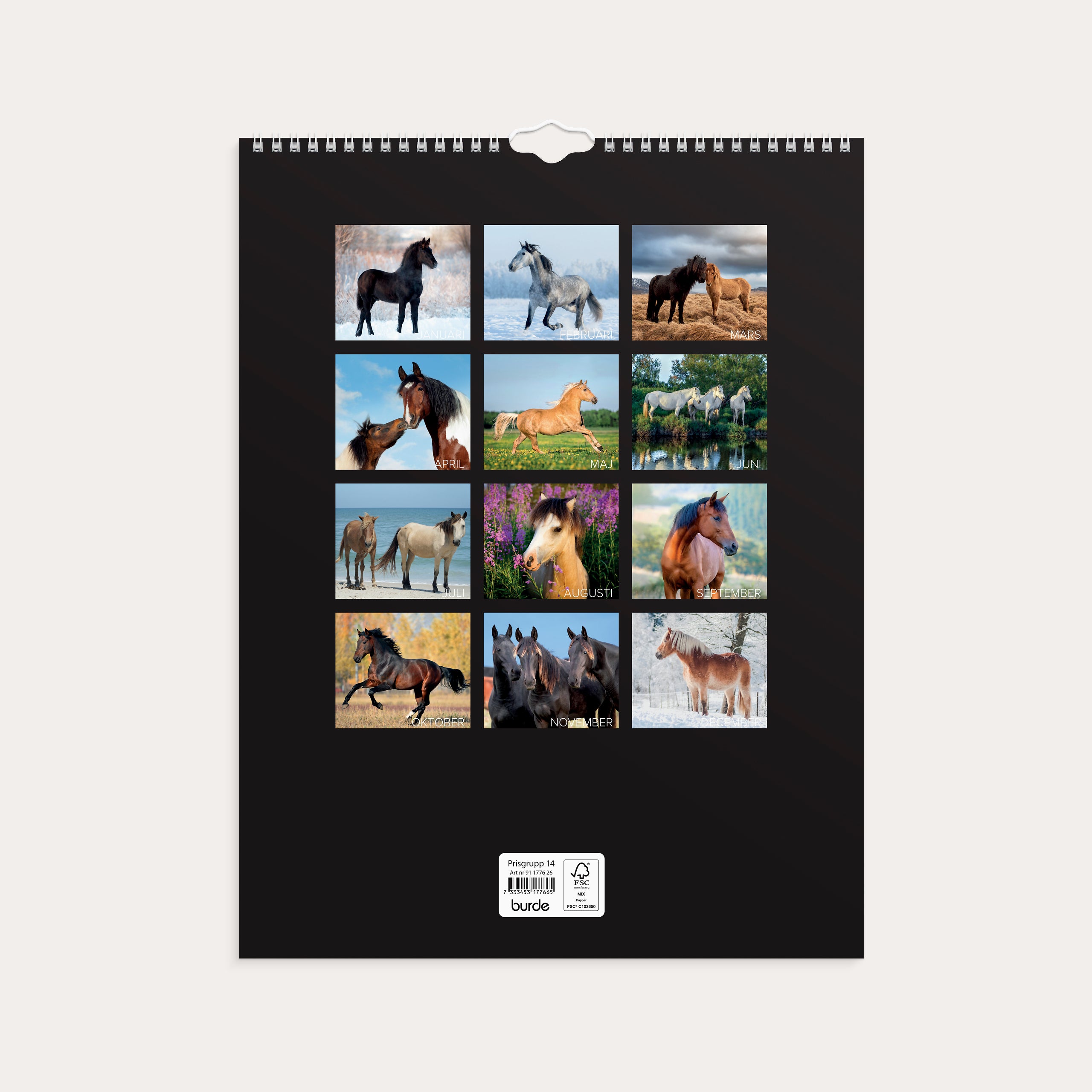 Väggkalender 2026 Stora Hästkalendern