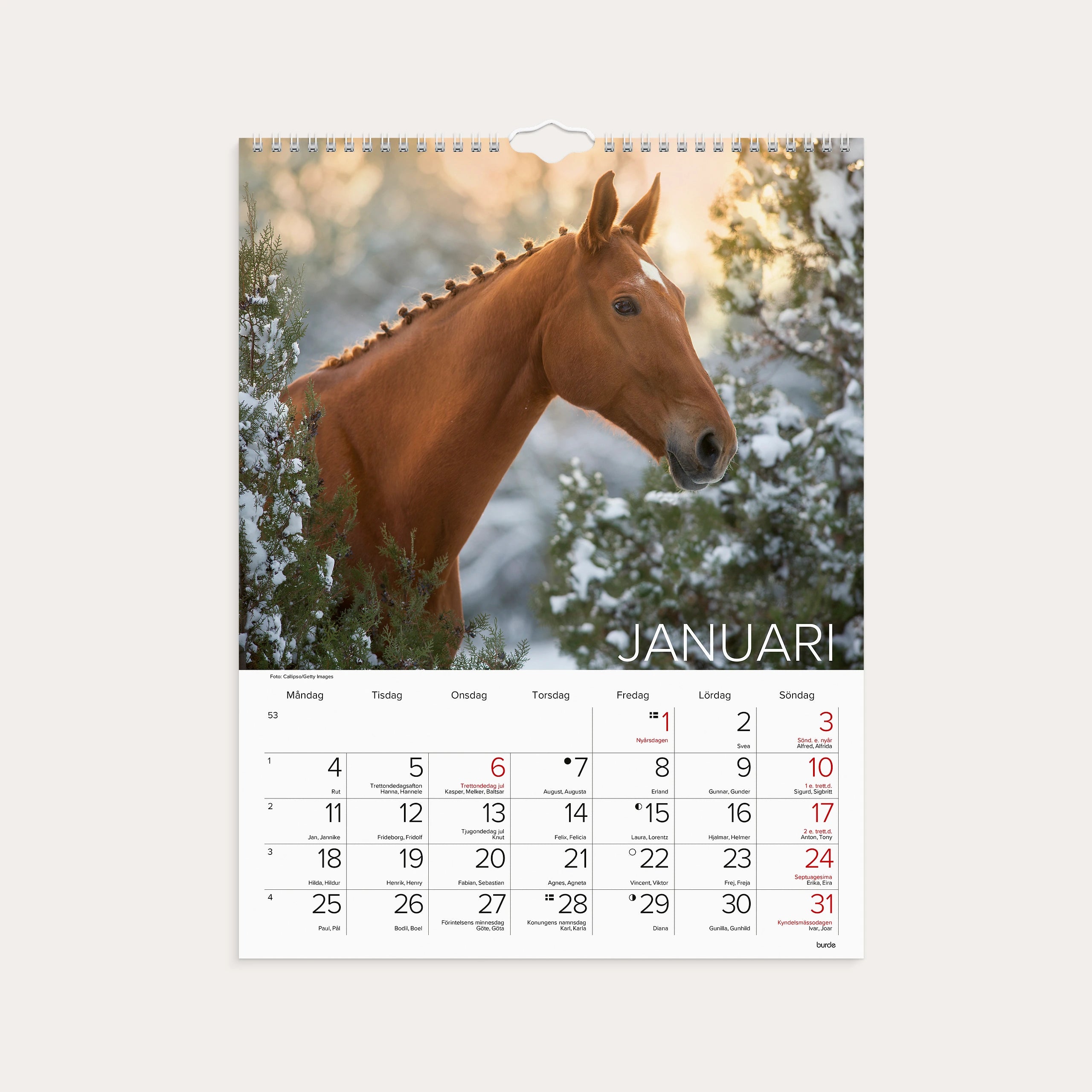 Väggkalender 2027 Stora Hästkalendern