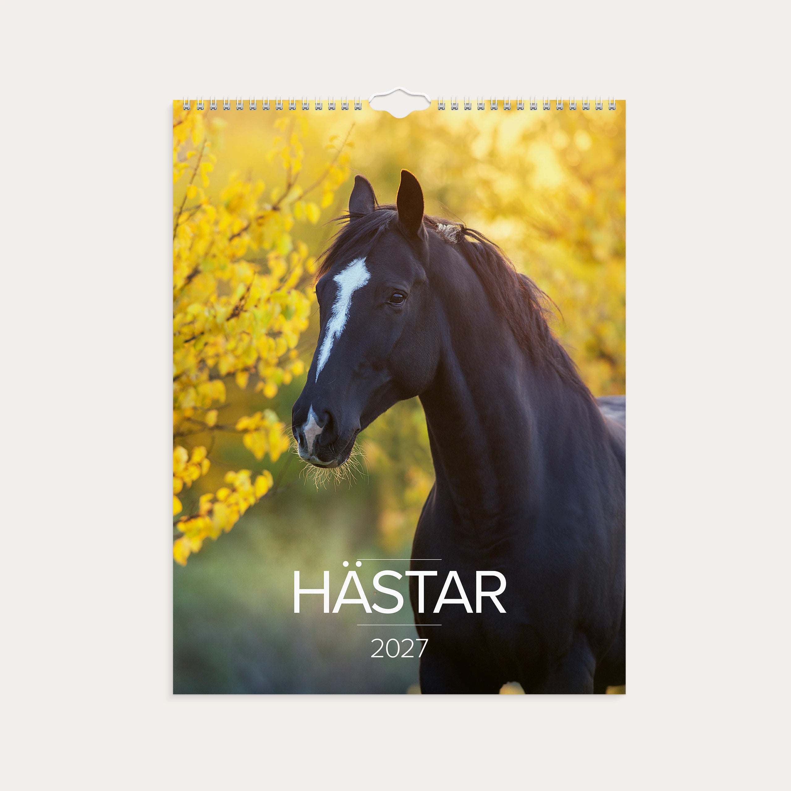 Väggkalender 2027 Stora Hästkalendern