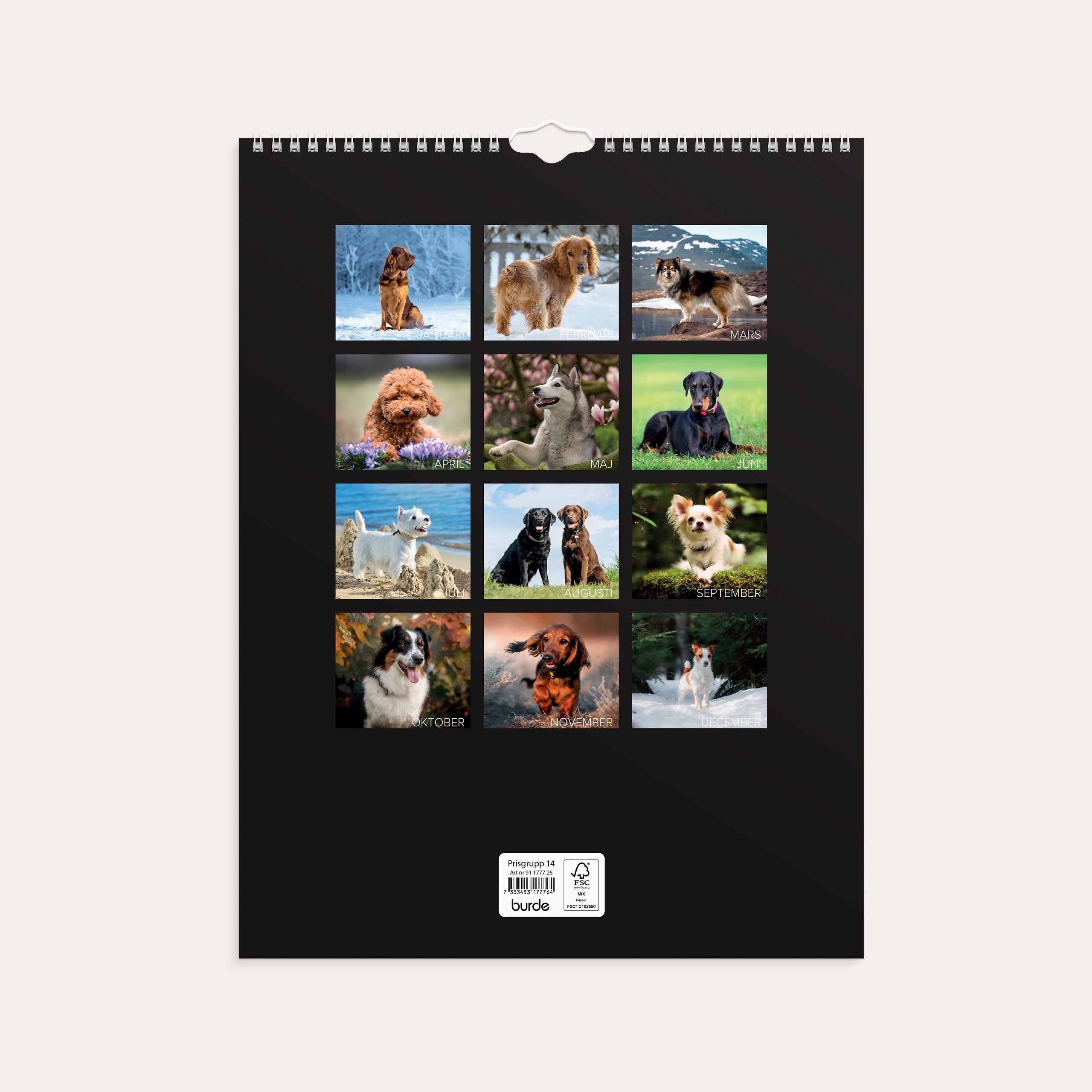 Väggkalender 2026 Stora Hundkalendern
