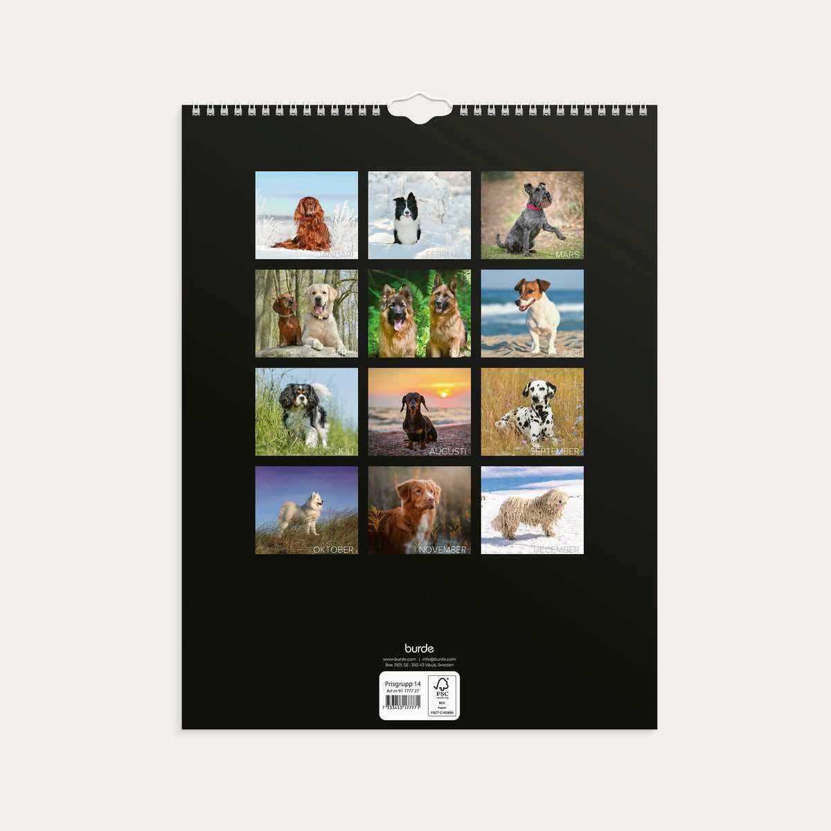 Väggkalender 2027 Stora Hundkalendern