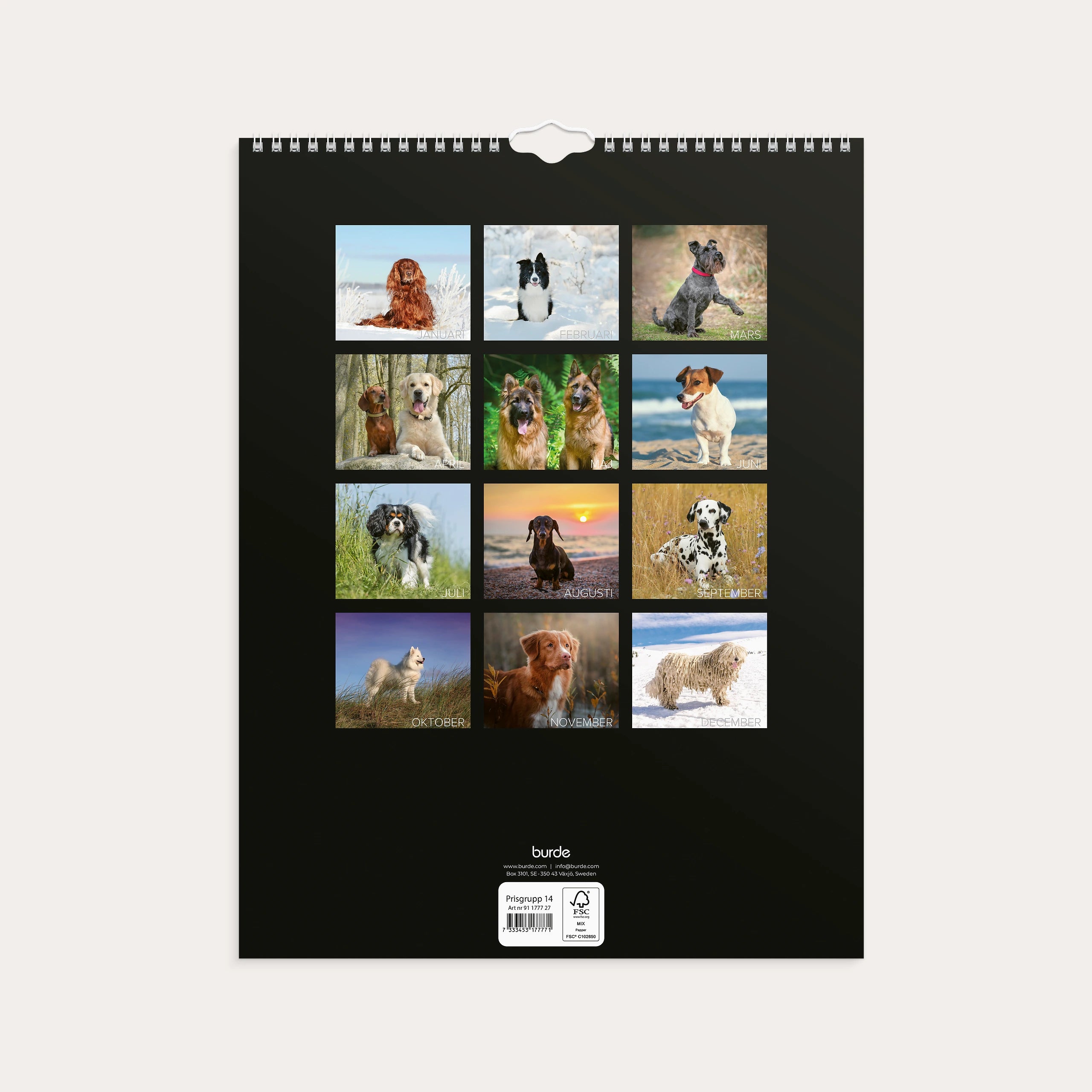 Väggkalender 2027 Stora Hundkalendern
