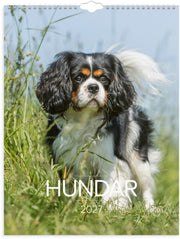 Väggkalender 2027 Stora Hundkalendern
