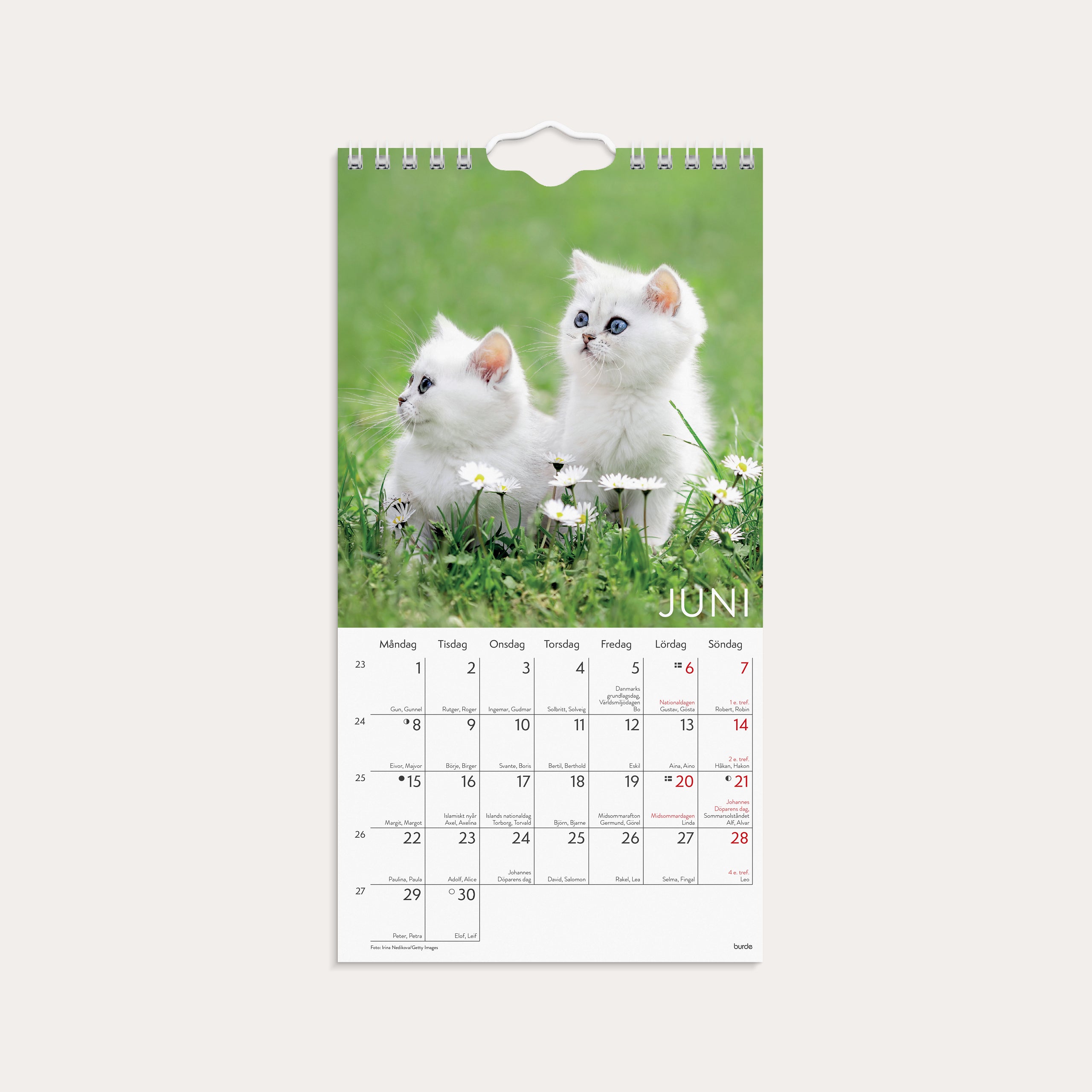 Väggkalender 2026 Liten Kattkalender