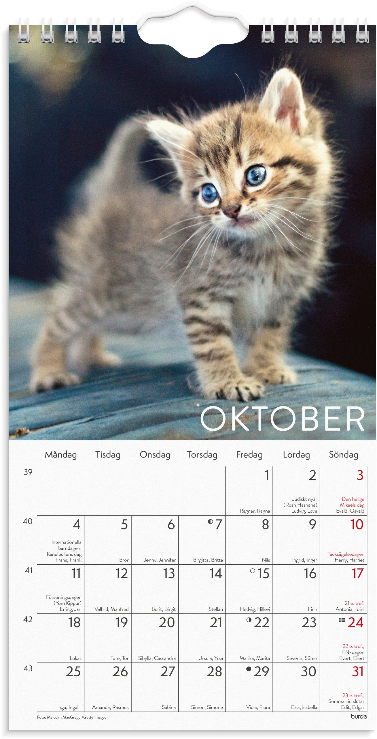 Väggkalender 2027 Liten Kattkalender