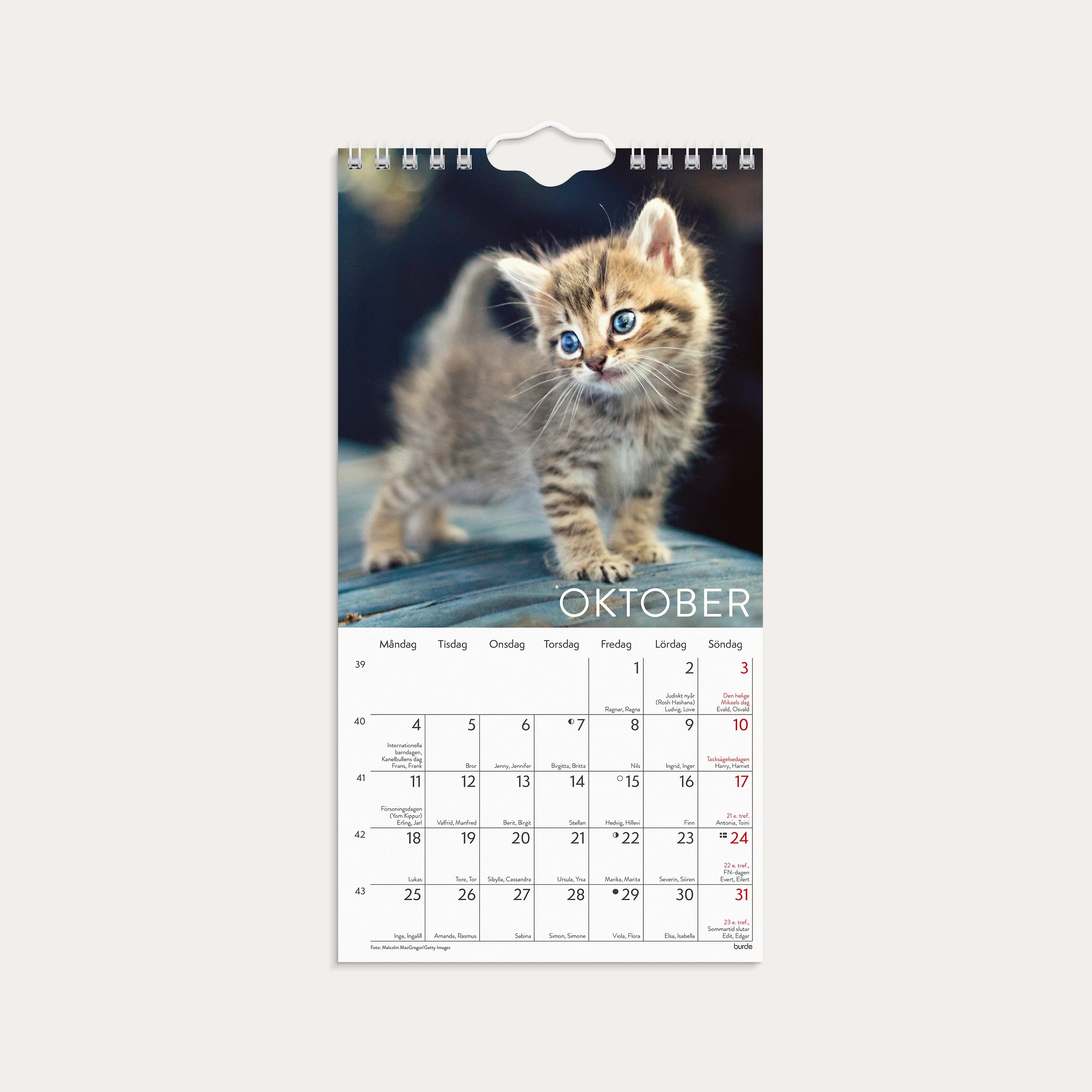 Väggkalender 2027 Liten Kattkalender