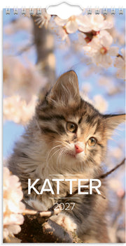 Väggkalender 2027 Liten Kattkalender