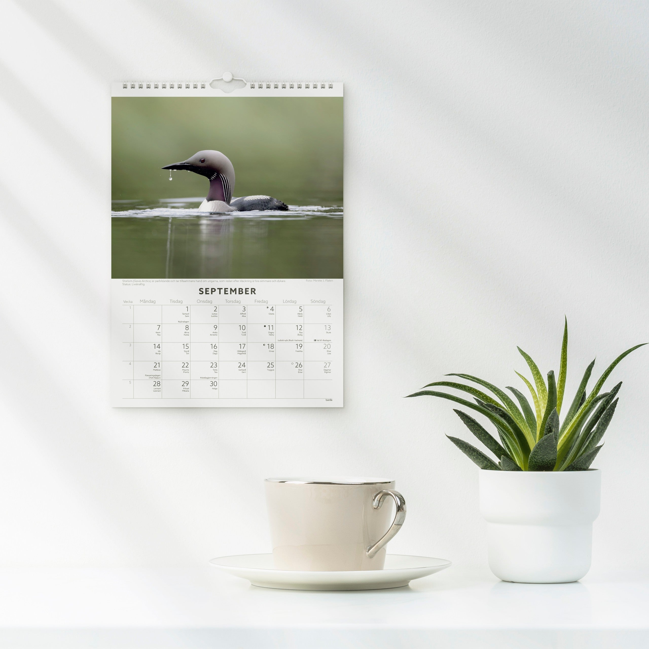 Väggkalender 2026 Fåglar