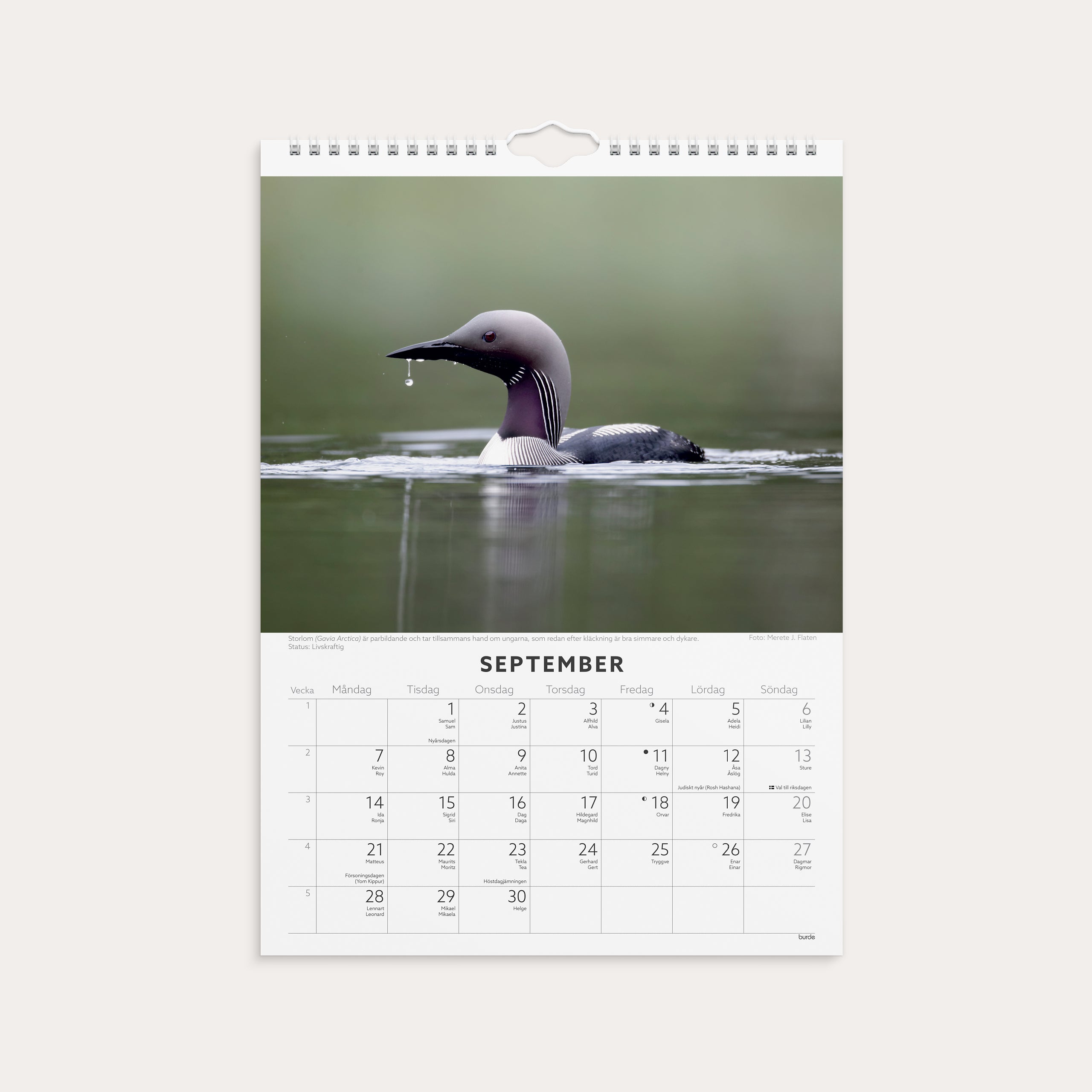 Väggkalender 2026 Fåglar