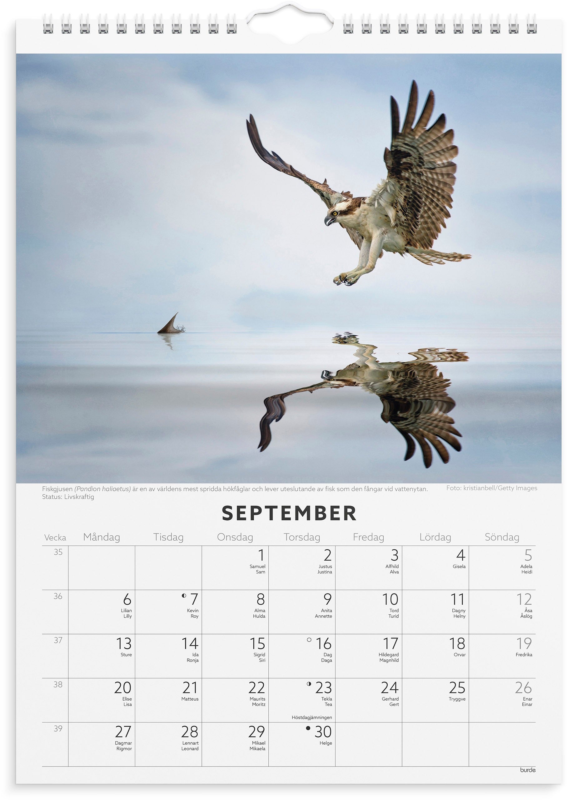 Väggkalender 2027 Fåglar