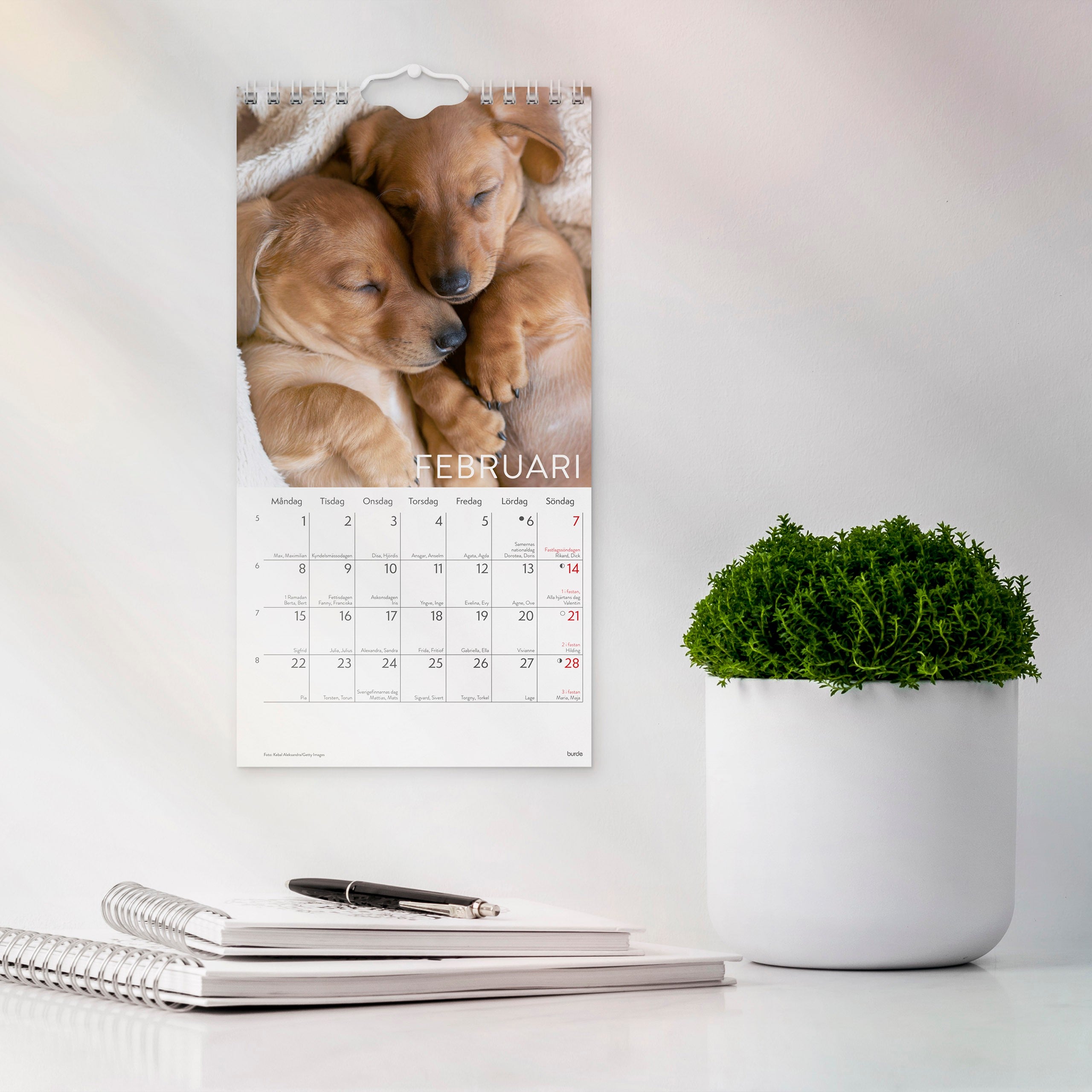 Väggkalender 2027 Liten Hundkalender