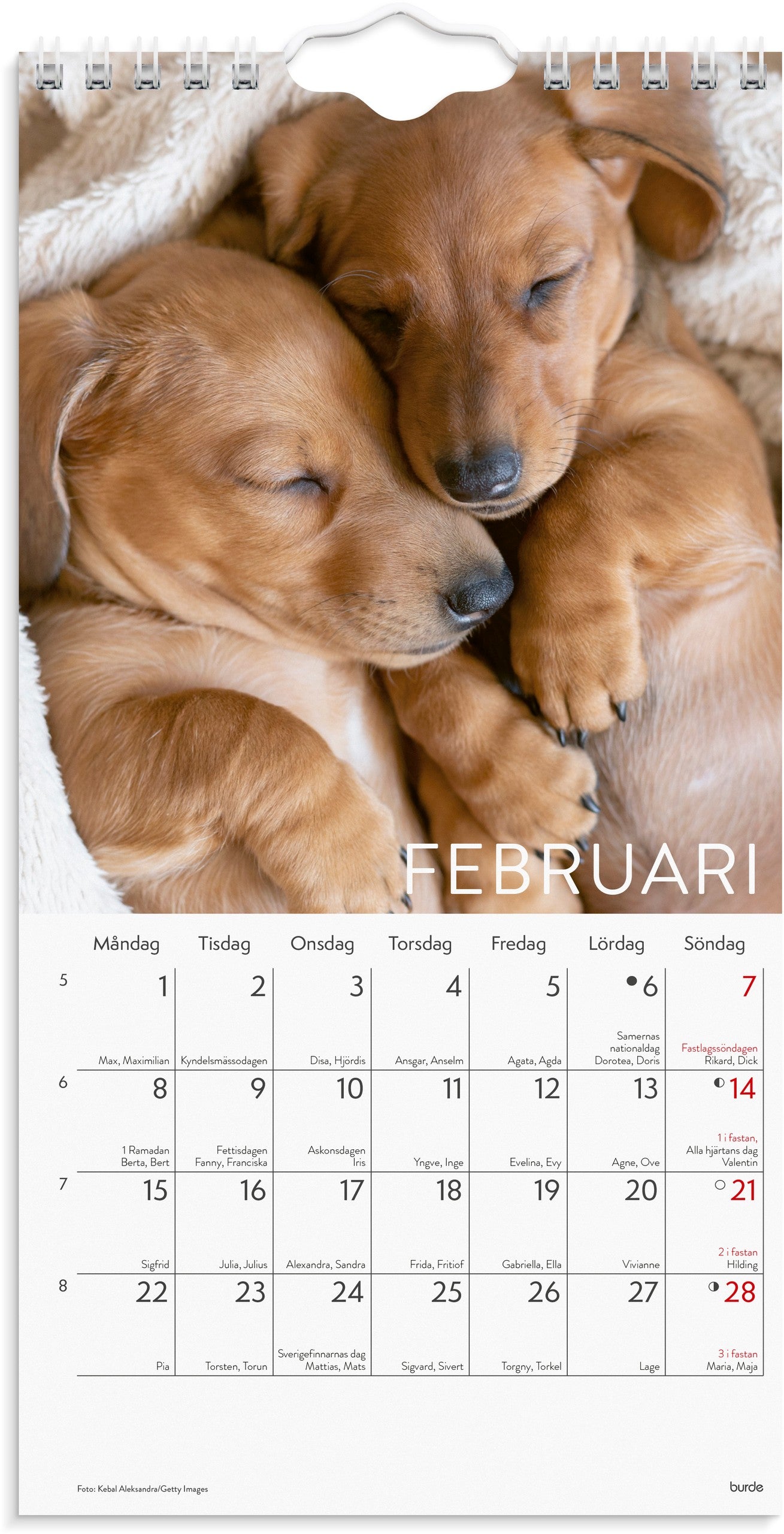 Väggkalender 2027 Liten Hundkalender