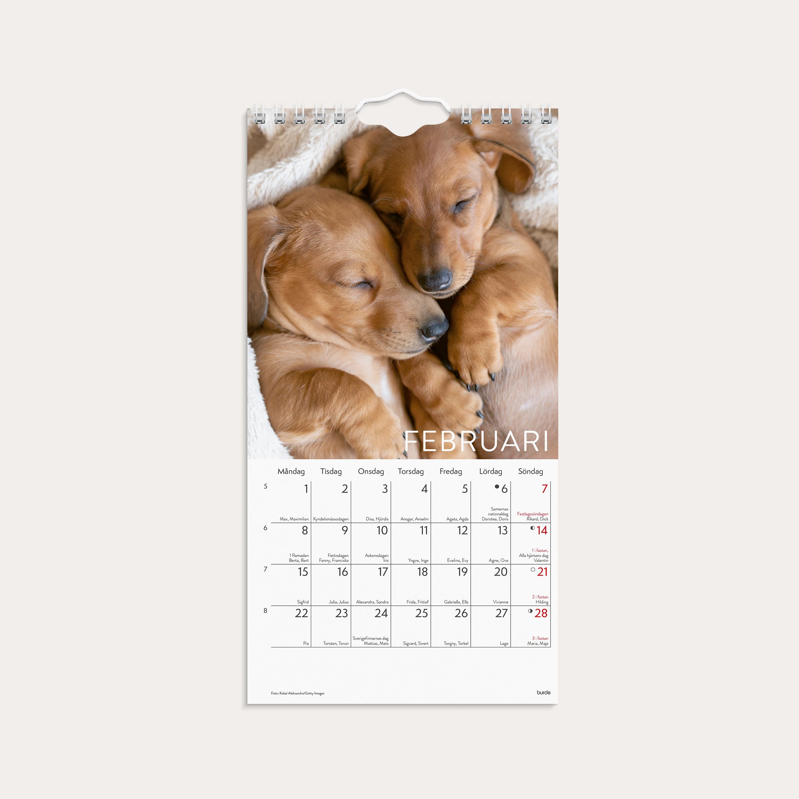 Väggkalender 2027 Liten Hundkalender