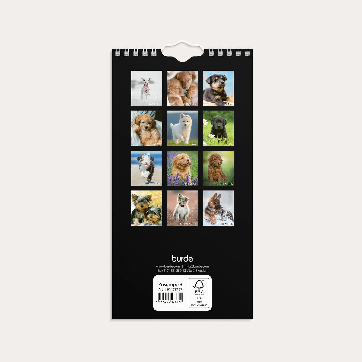 Väggkalender 2027 Liten Hundkalender