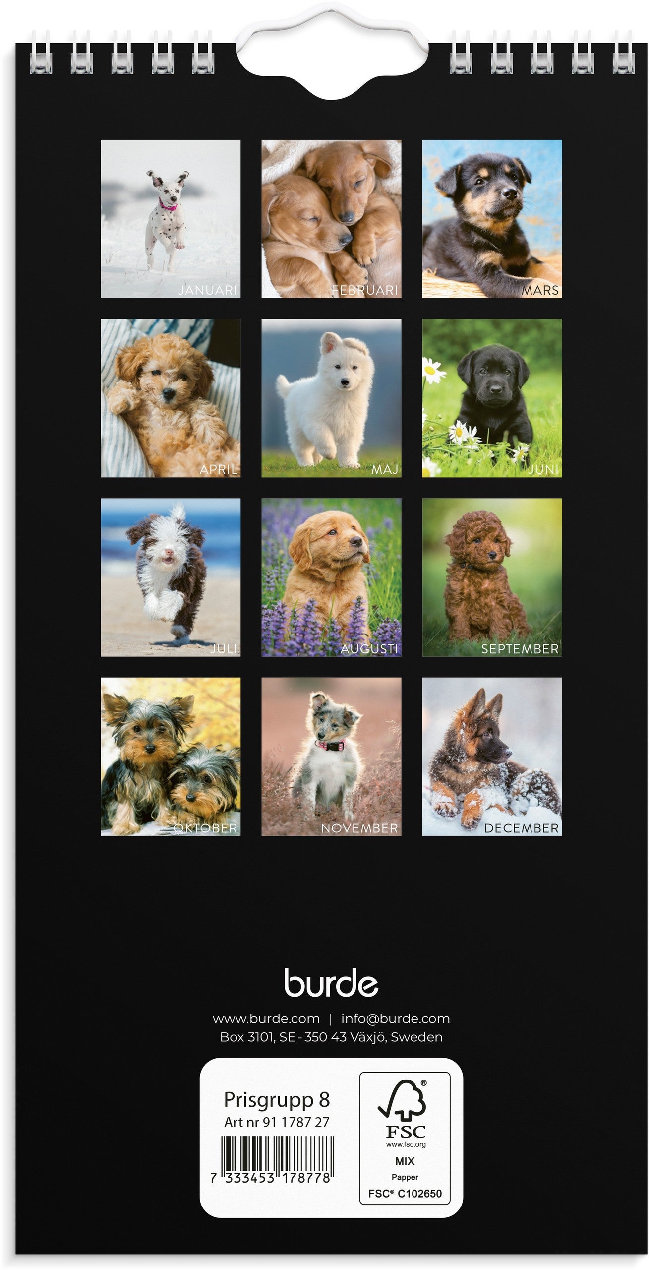 Väggkalender 2027 Liten Hundkalender