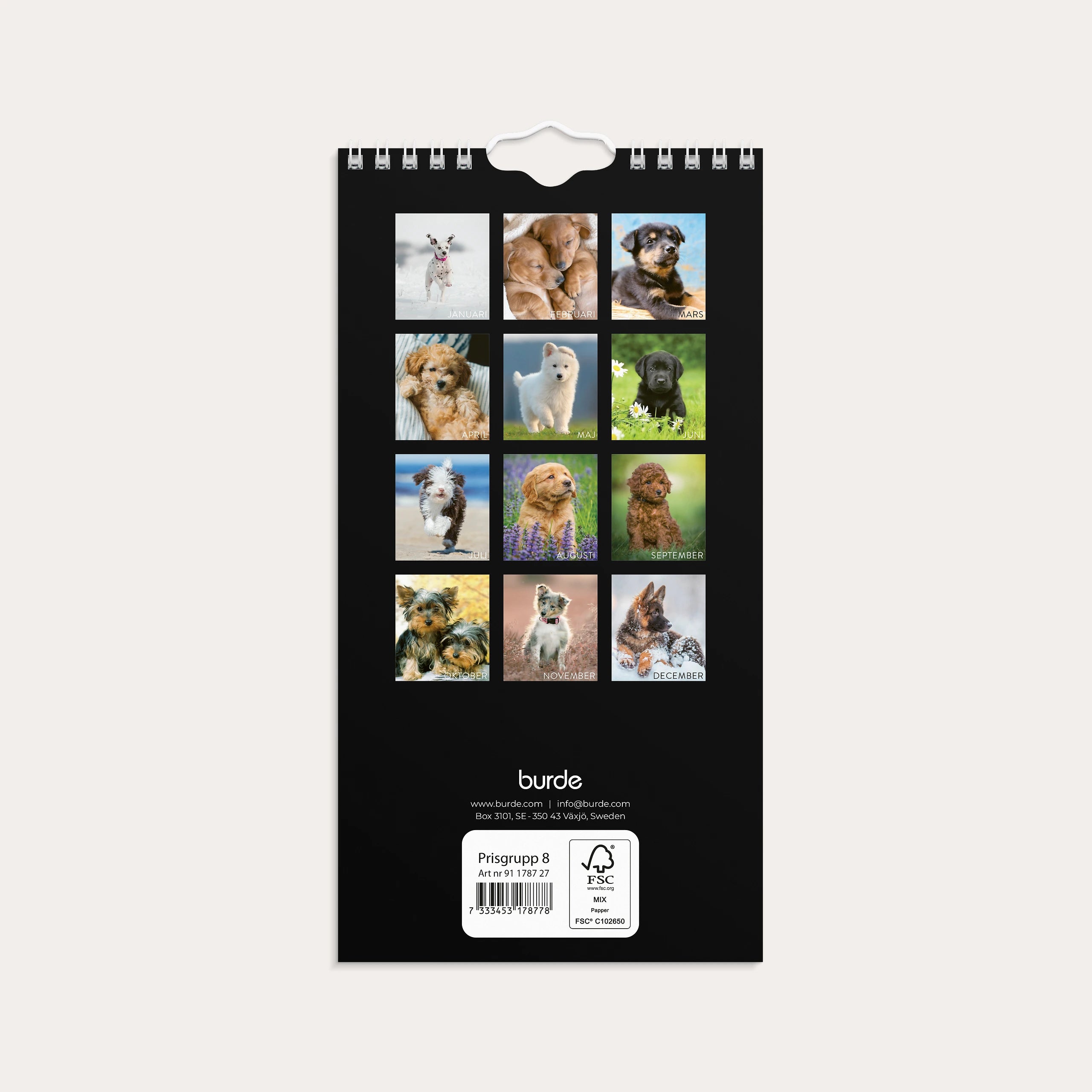Väggkalender 2027 Liten Hundkalender