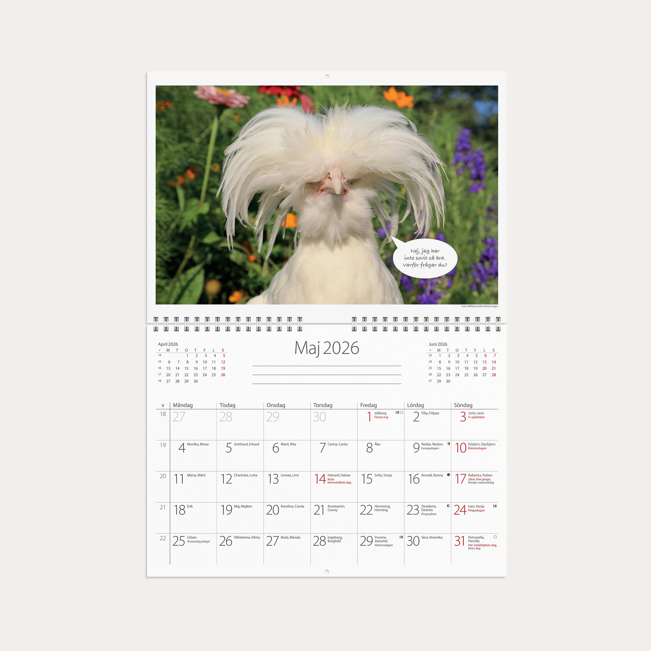 Väggkalender 2026 Djurkul