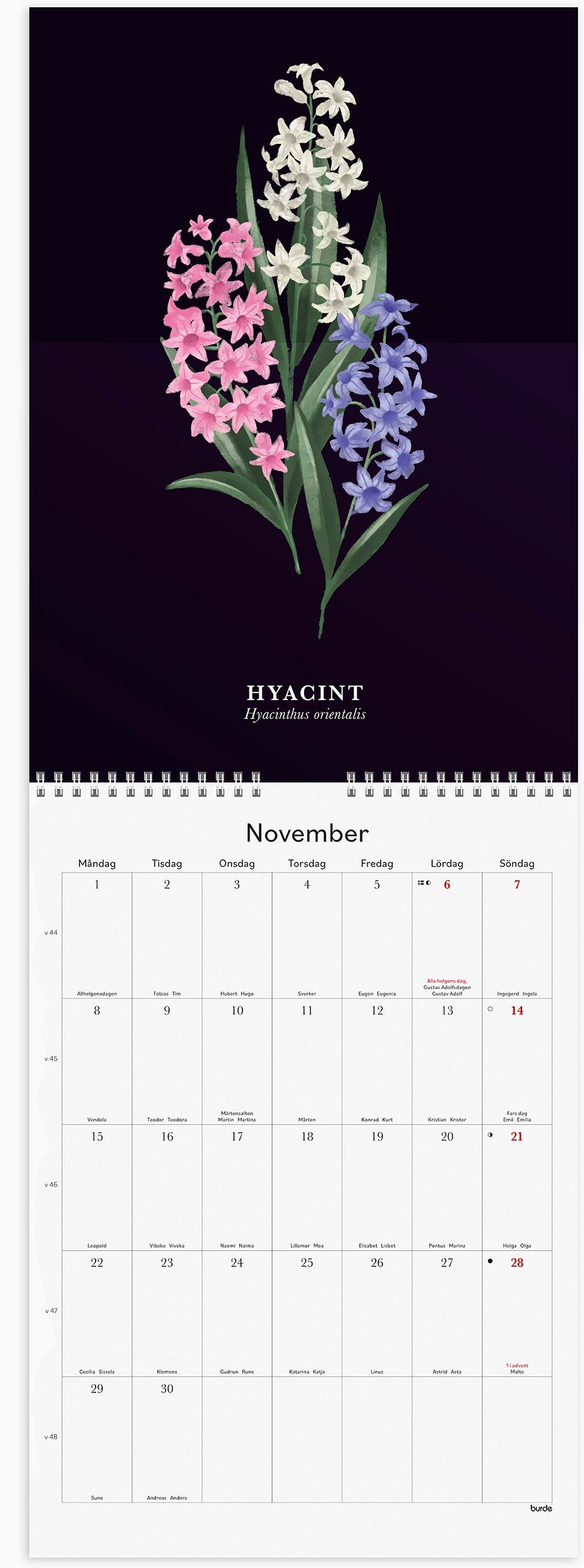 Väggkalender 2027 Illustrerad blomster