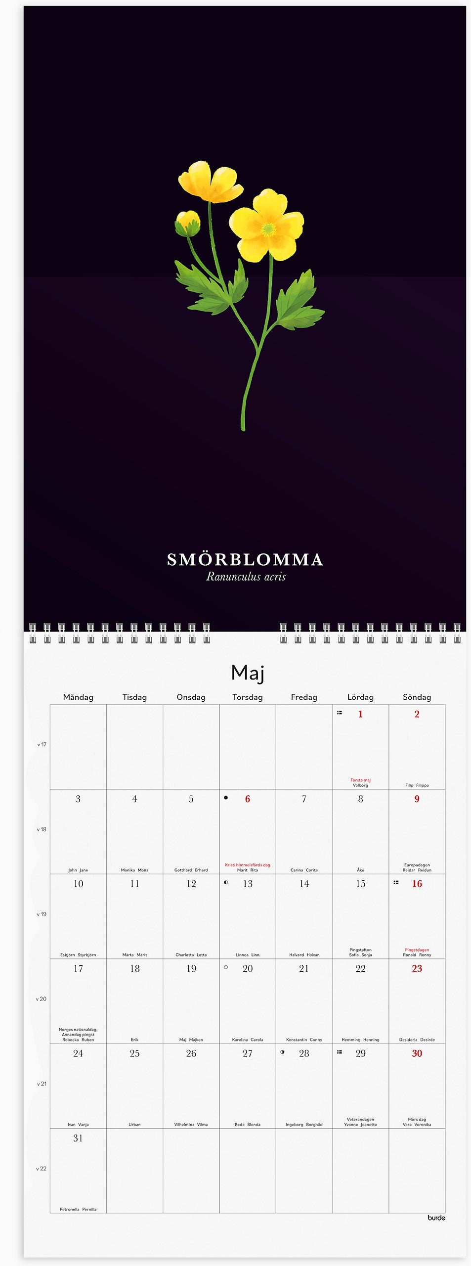 Väggkalender 2027 Illustrerad blomster