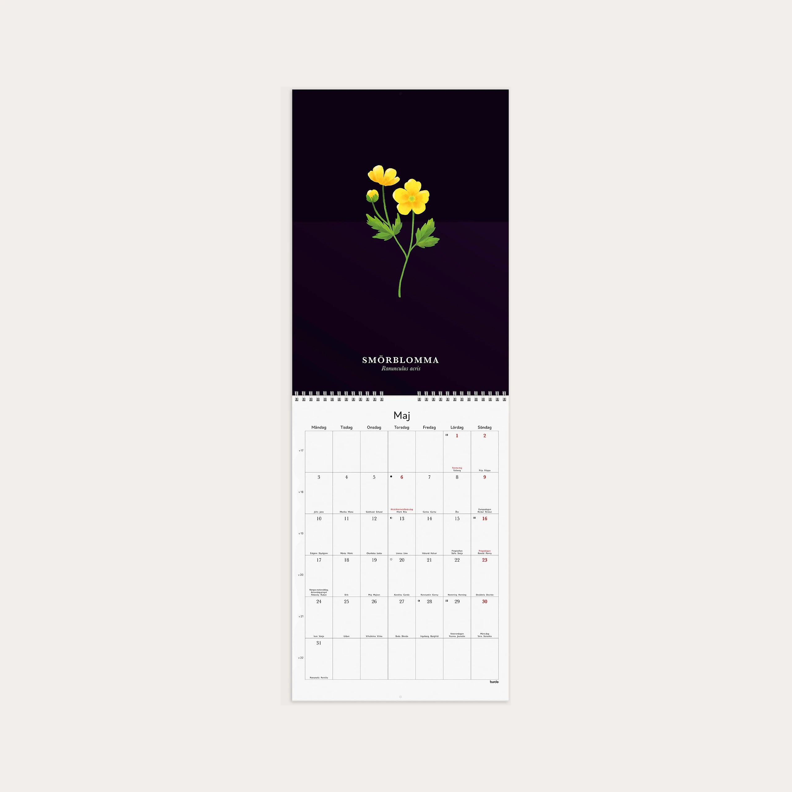 Väggkalender 2027 Illustrerad blomster