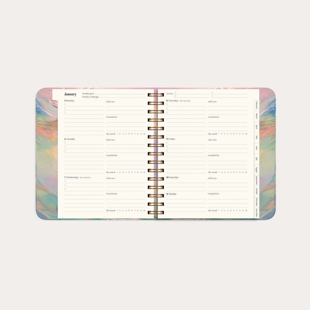 Diary Dream & Do Swirl 2026
