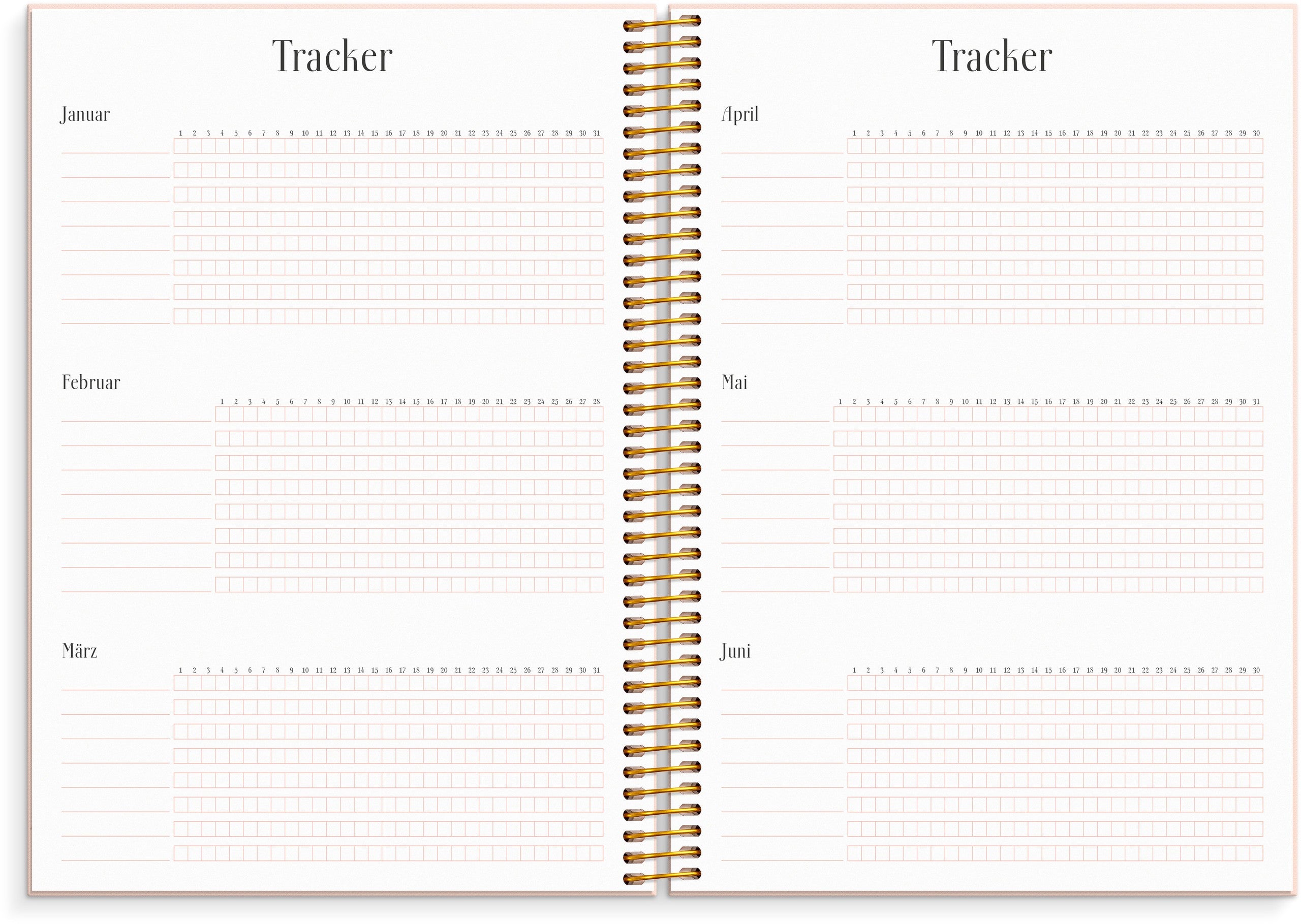 Life Planner Pink Horizontal 2027