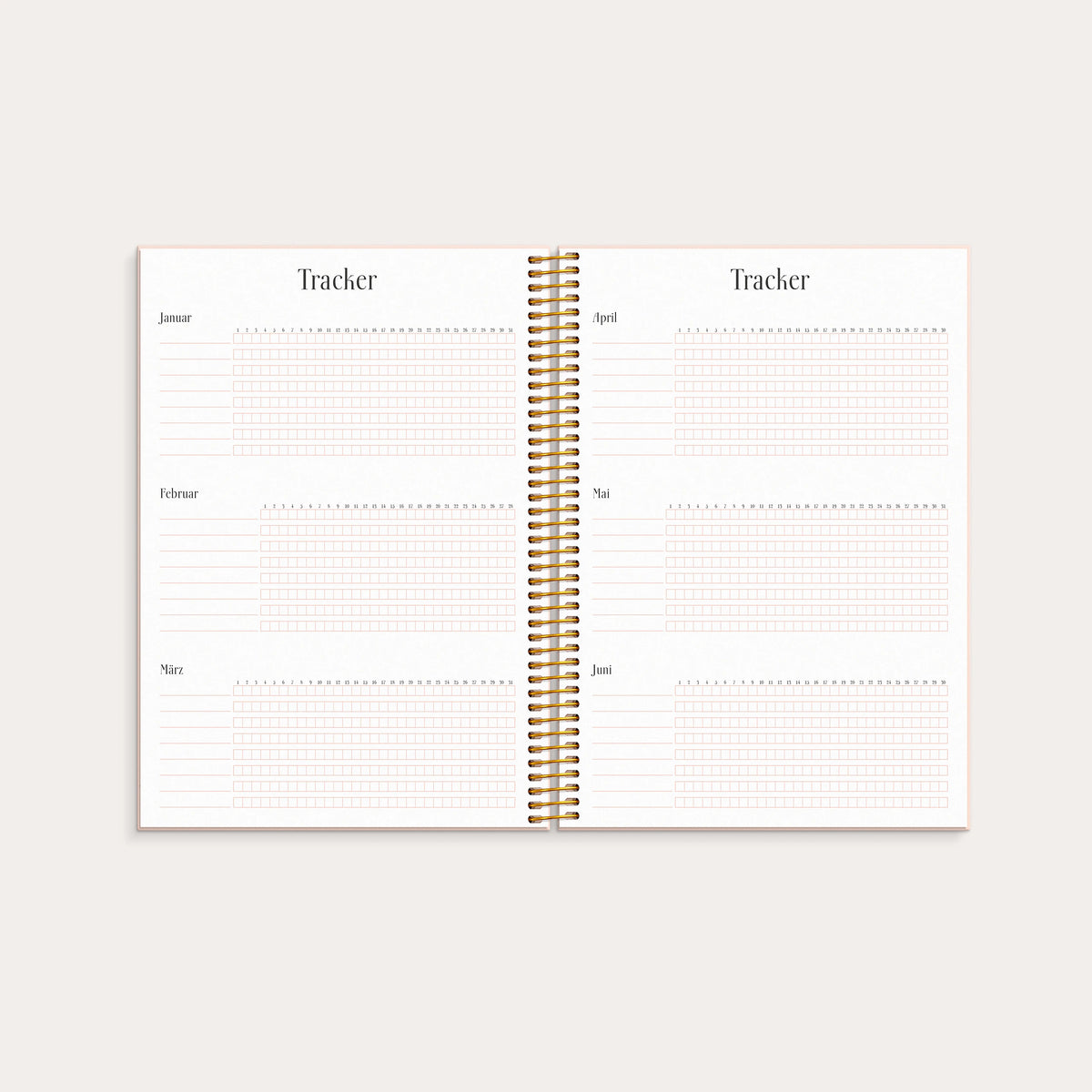 Life Planner Pink Horizontal 2027