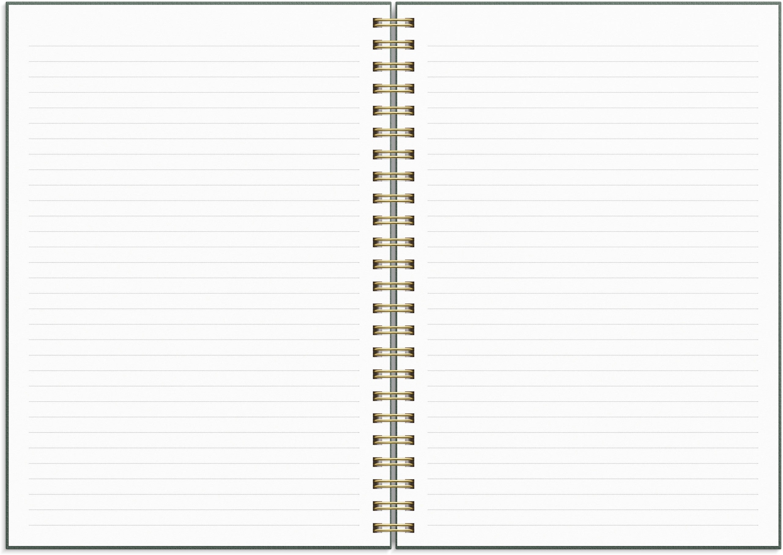 Life Planner Do more 2027