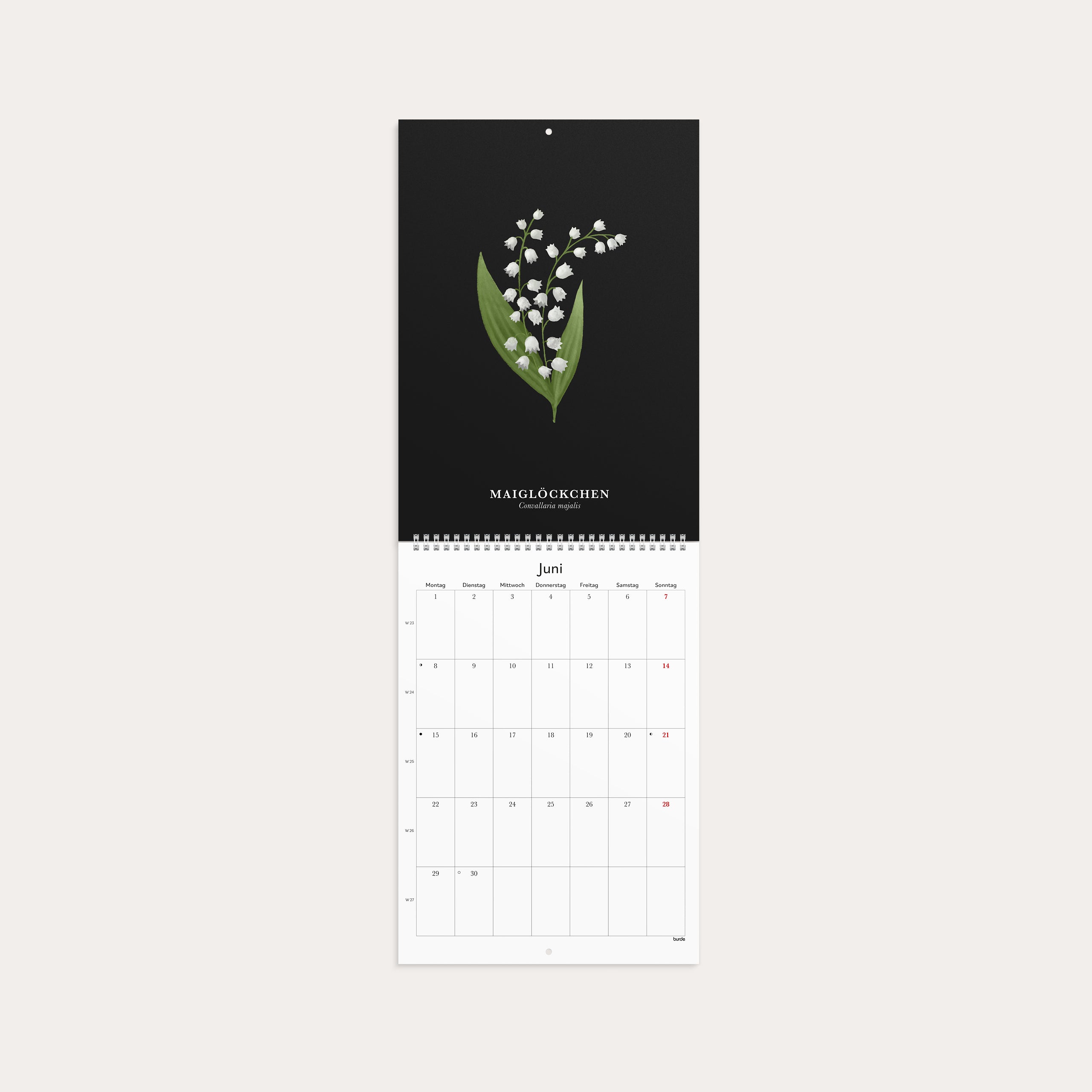 Illustrierte Blumen Wandkalender 2026