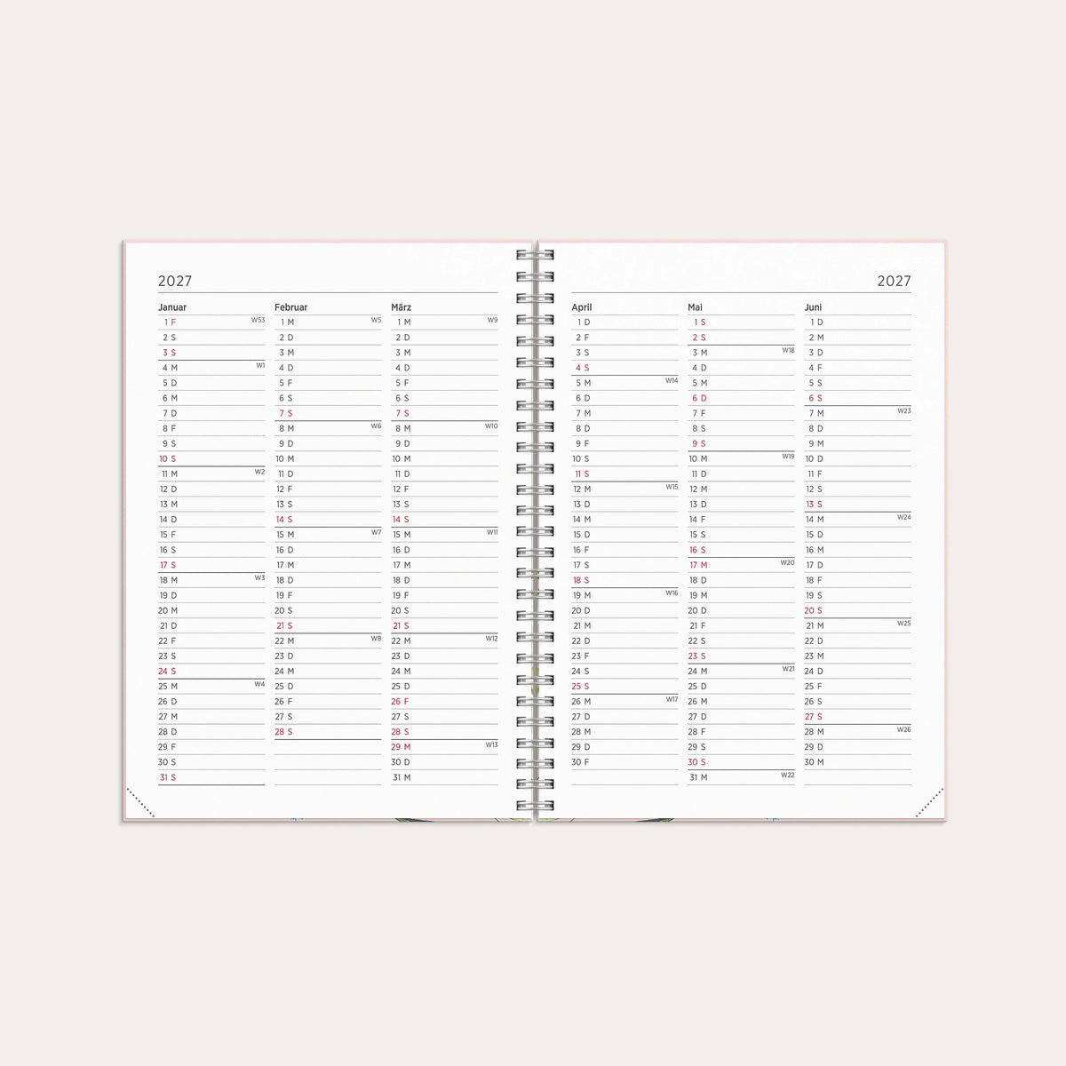 Kalender 2027 Senator A5 Story Wiesenblume