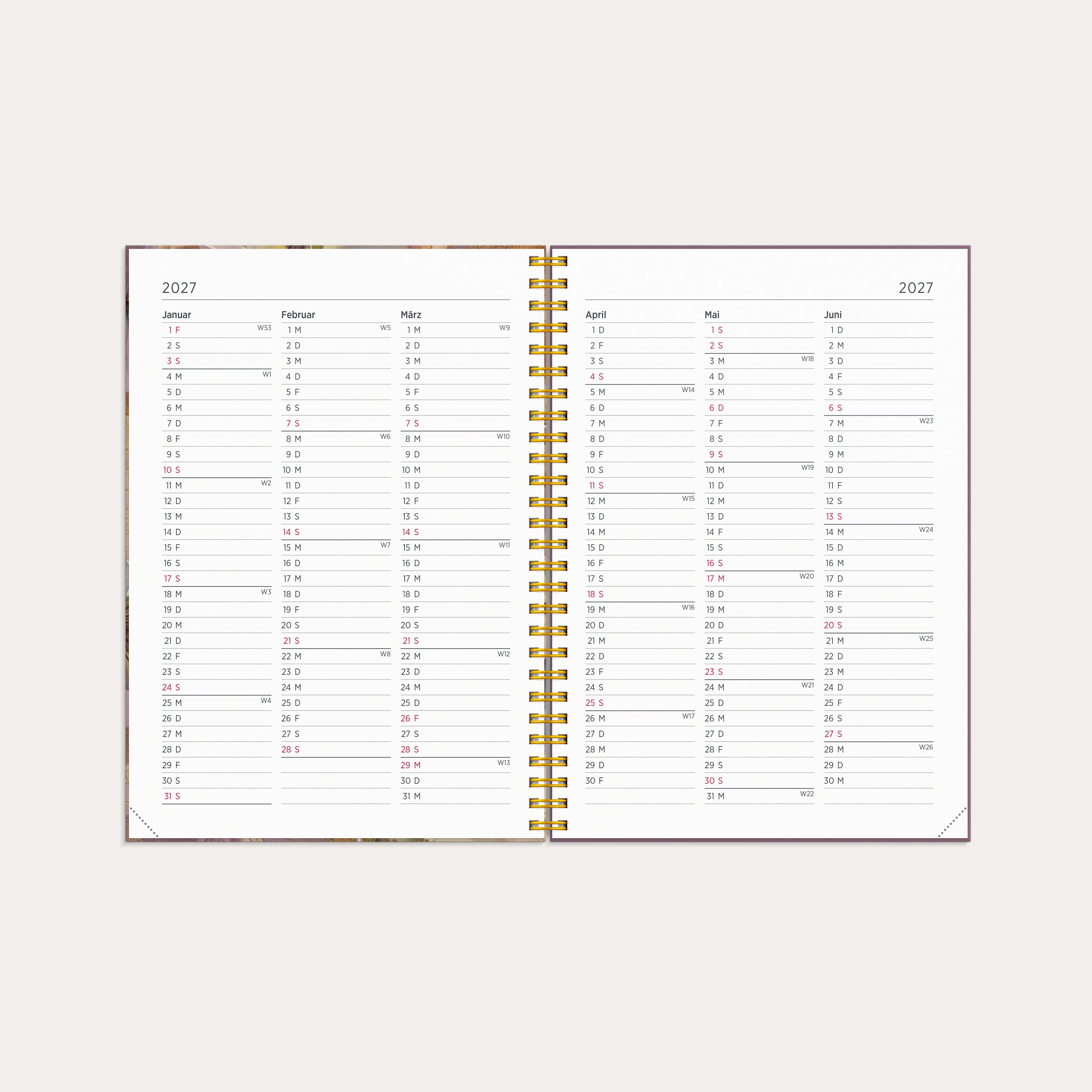 Kalender 2026 Senator A5 Story Stiefmütterchen