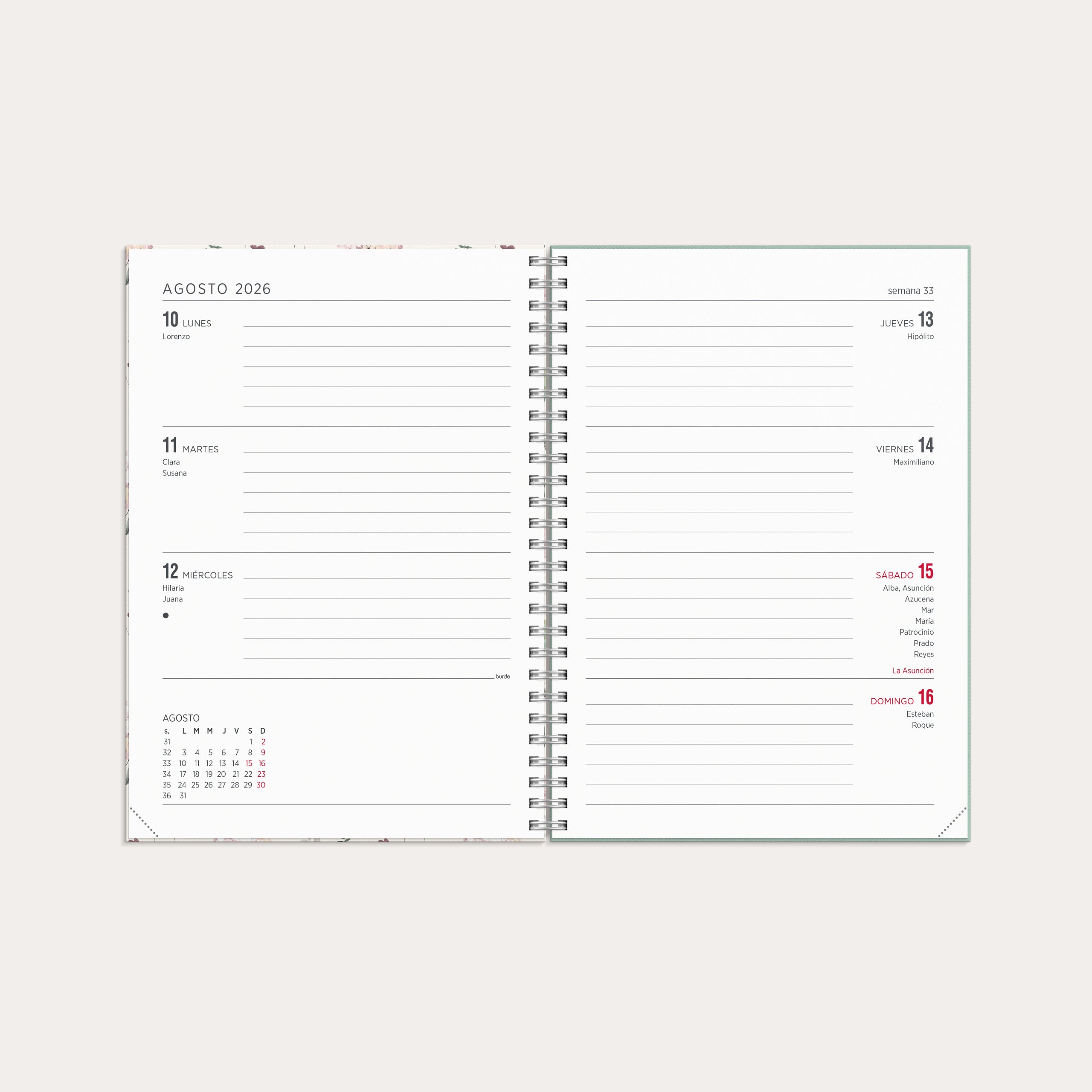 Agenda 2026 Senator A5 Story Flor