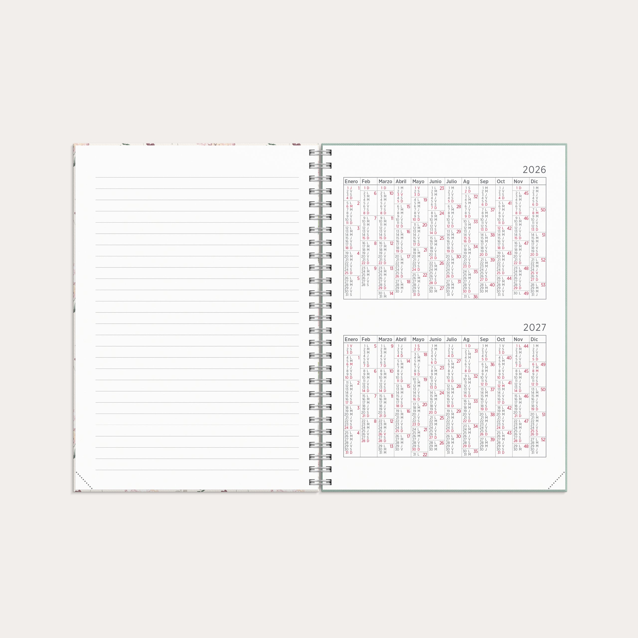 Agenda 2026 Senator A5 Story Flor