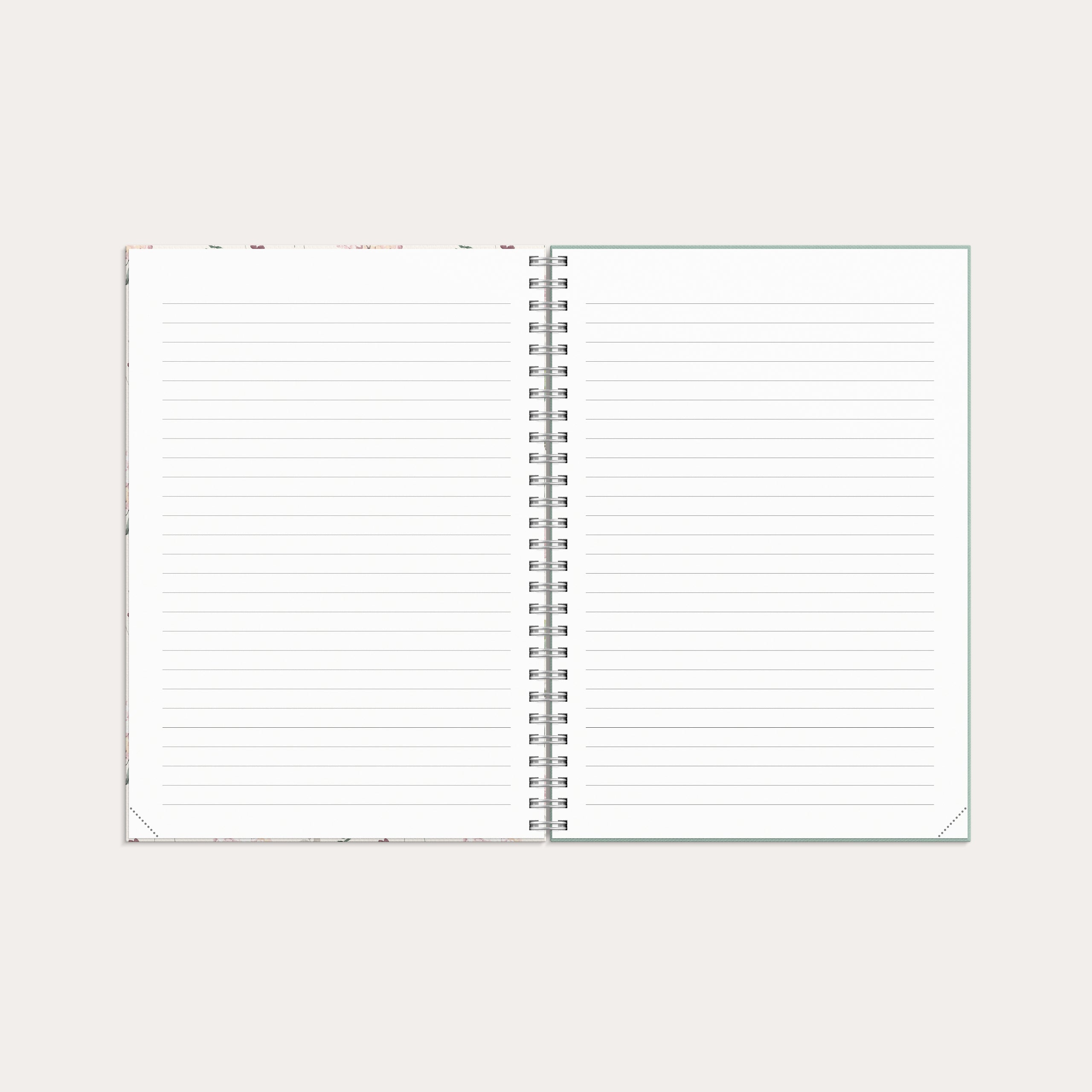 Agenda 2026 Senator A5 Story Fiore