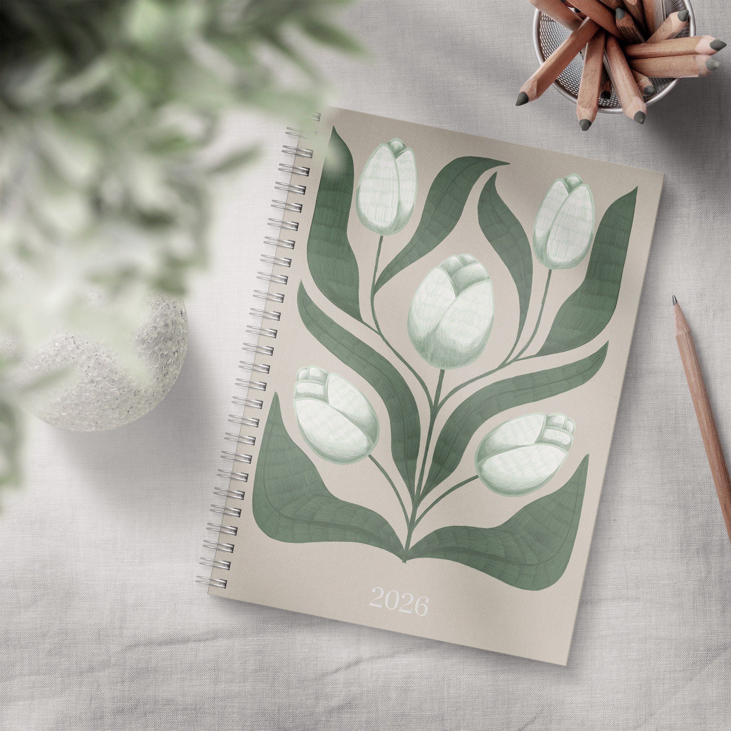 Agenda 2026 Senator A5 Story Tulipán