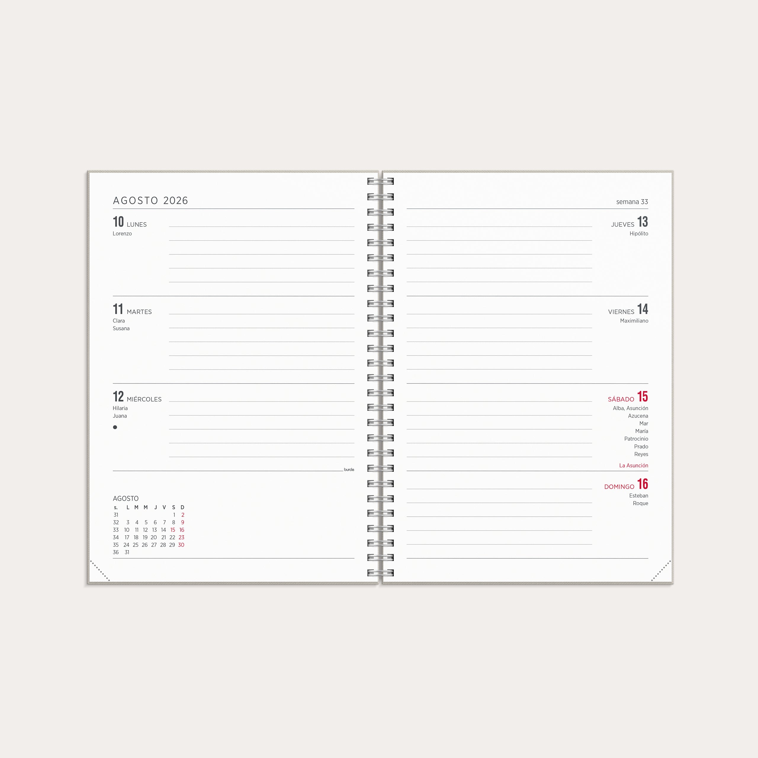 Agenda 2026 Senator A5 Story Tulipán