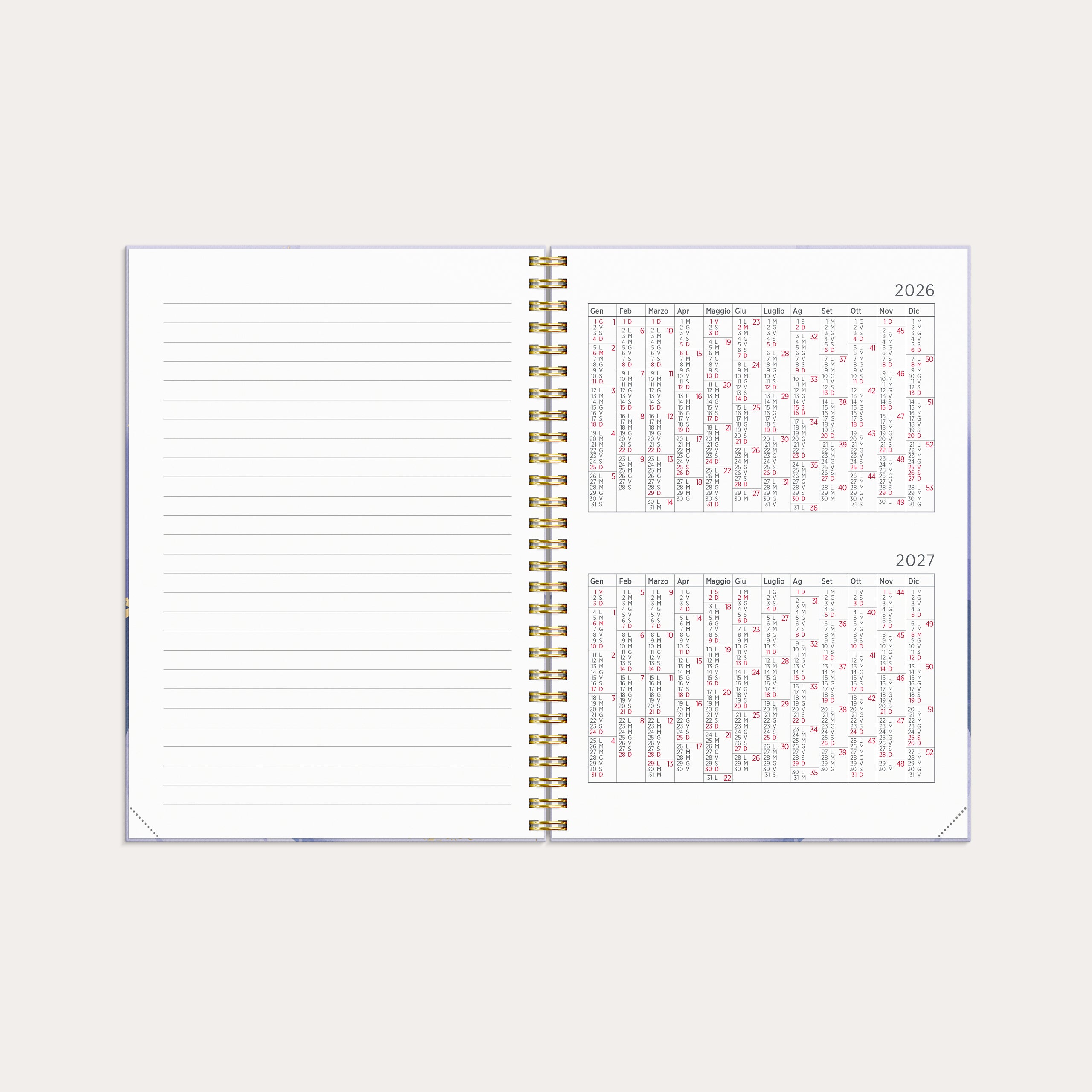 Agenda 2026 Senator A5 Marmo