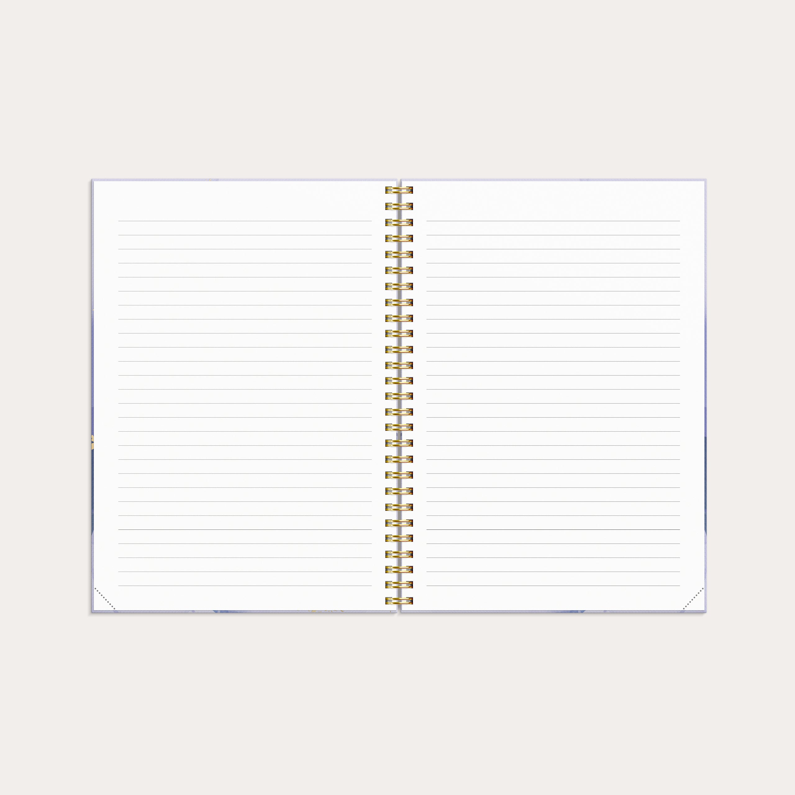 Agenda 2026 Senator A5 Marmo