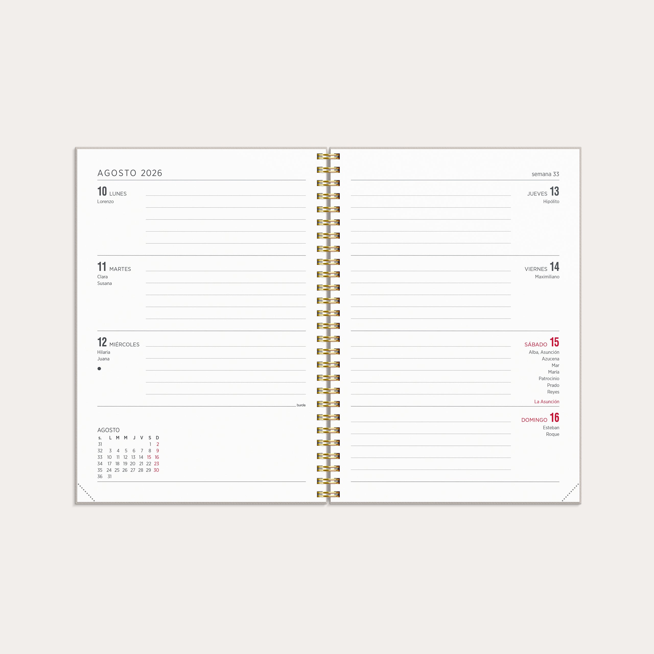 Agenda 2026 Senator A5 Sueños de conejo