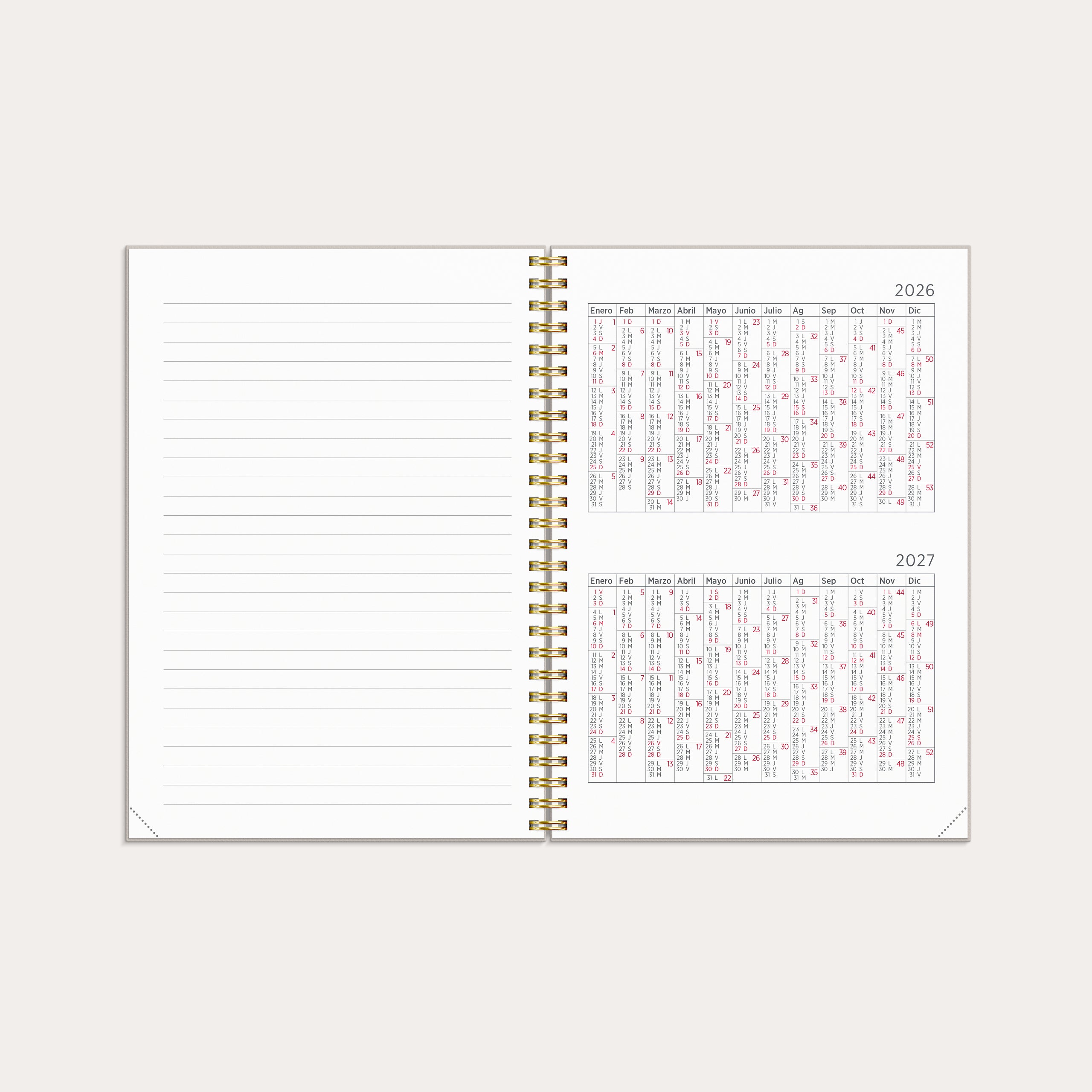 Agenda 2026 Senator A5 Sueños de conejo