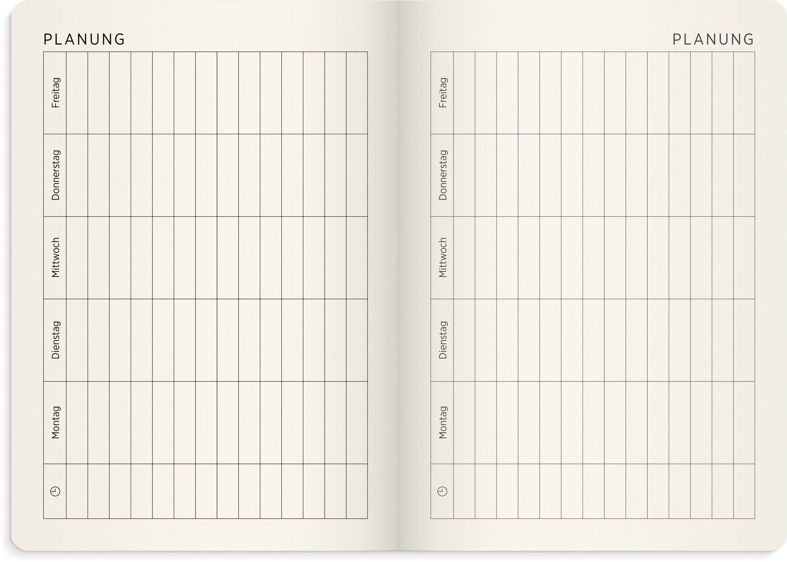 Senator A5 Forma Deluxe 26/27 Velourleder grün 17-Monats